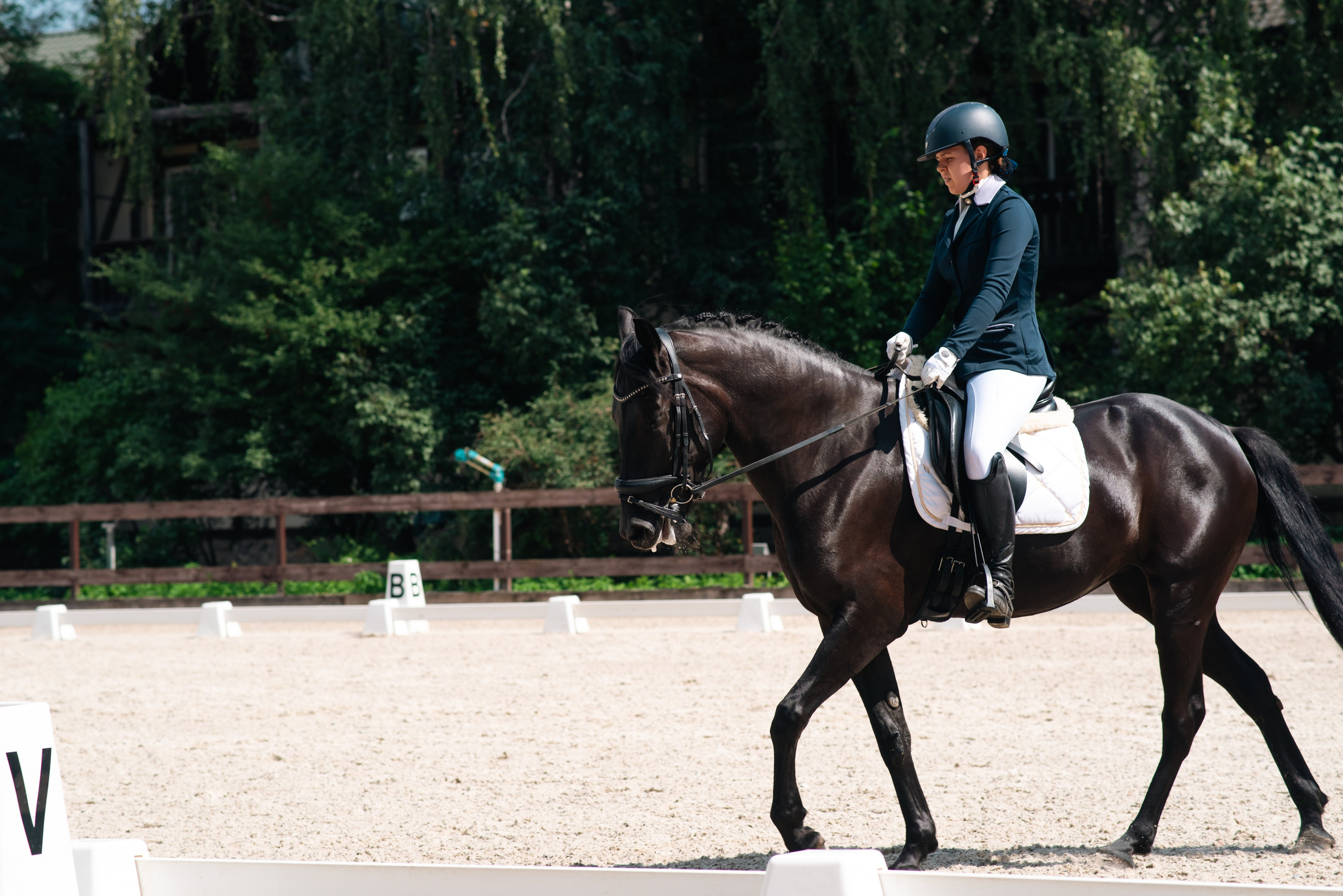 Выездка 10.08.25. Фотограф, визажист. Москва