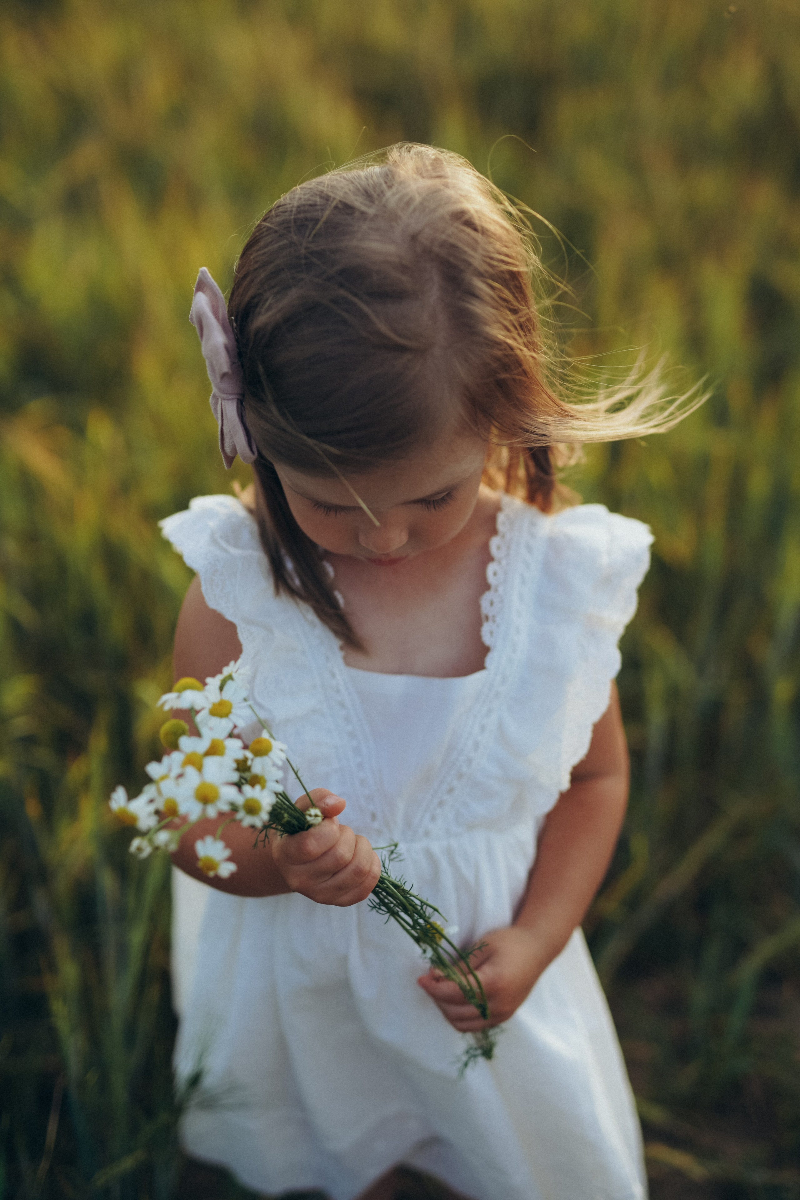 Пшеничное поле. Семейный и женский фотограф в Санкт-Петербурге Татьяна Стружкина
