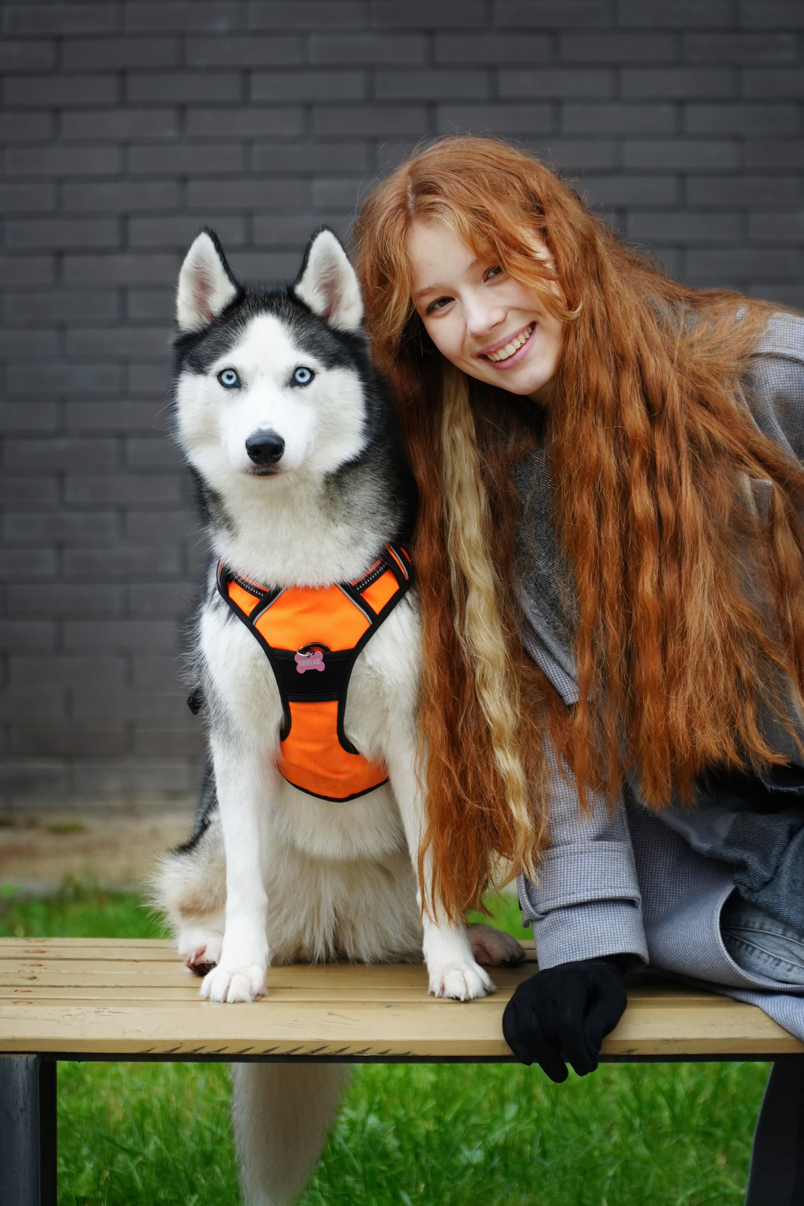 Хаски. Фотосъемка девушки с собакой. Фотосессия с собакой. Фотограф анималист. Лав-стори