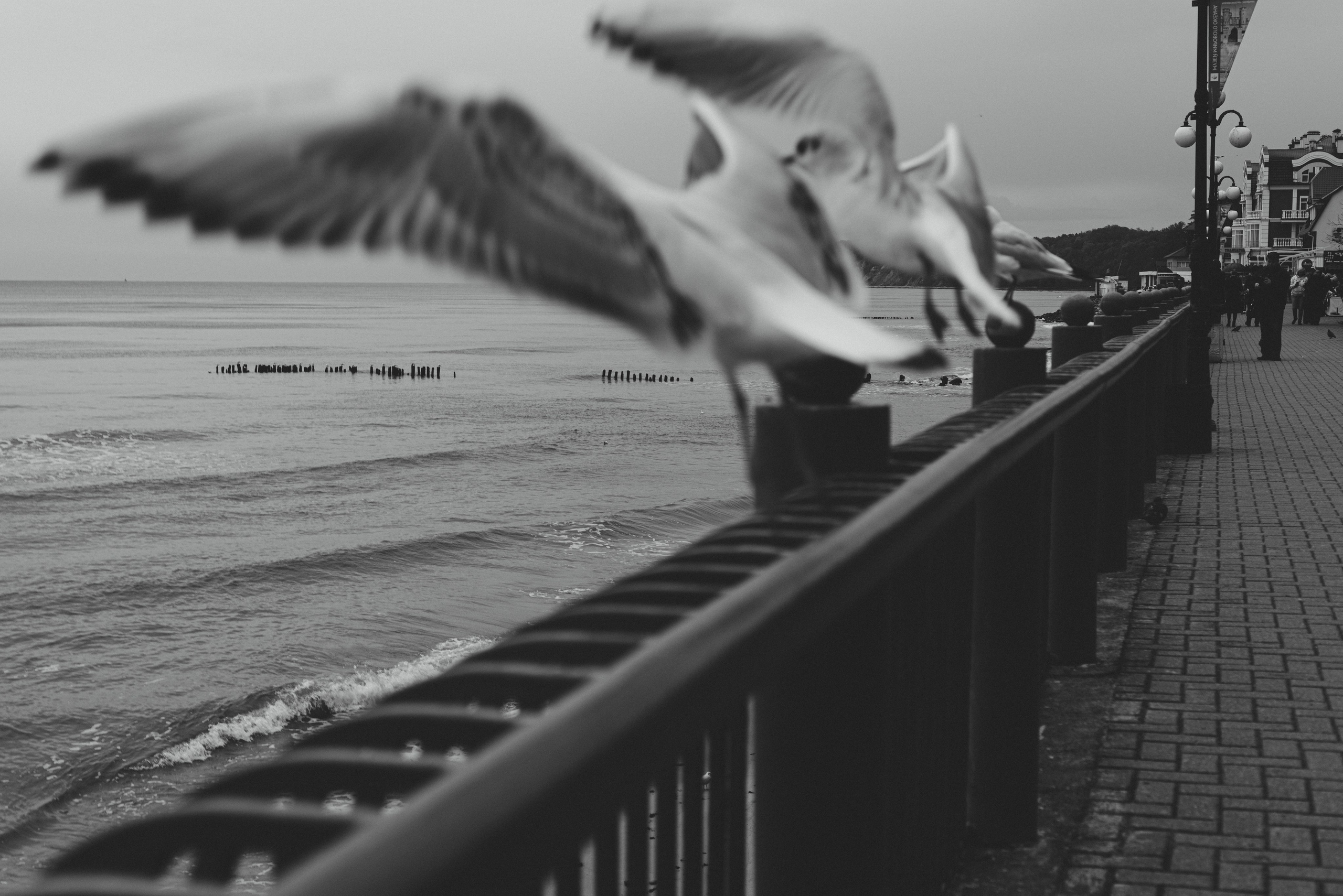 Калининград и его область: через объектив рекламного фотографа из Гуанчжо. Коммерческий и предметный фотограф в Гуанчжоу Коваленко Александр