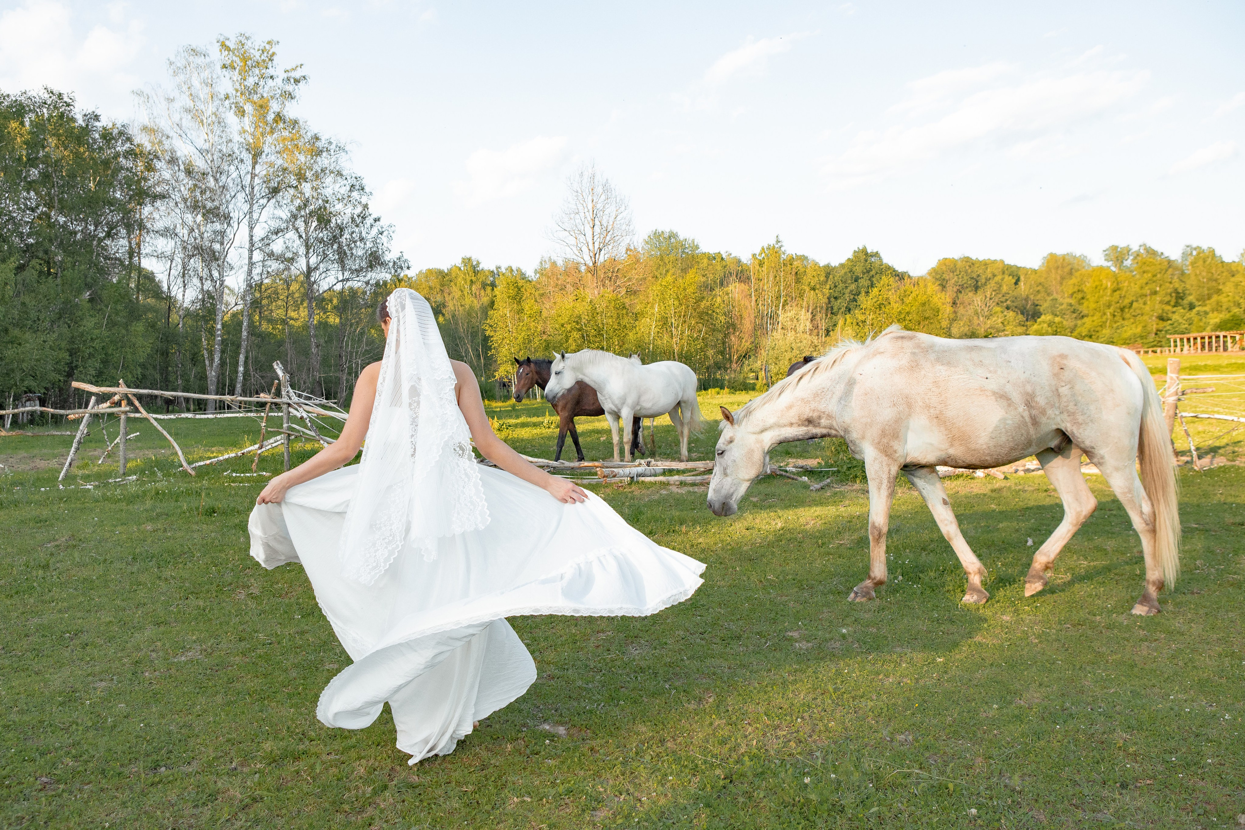 Необычная свадебная фотосессия в Москве с лошадьми
