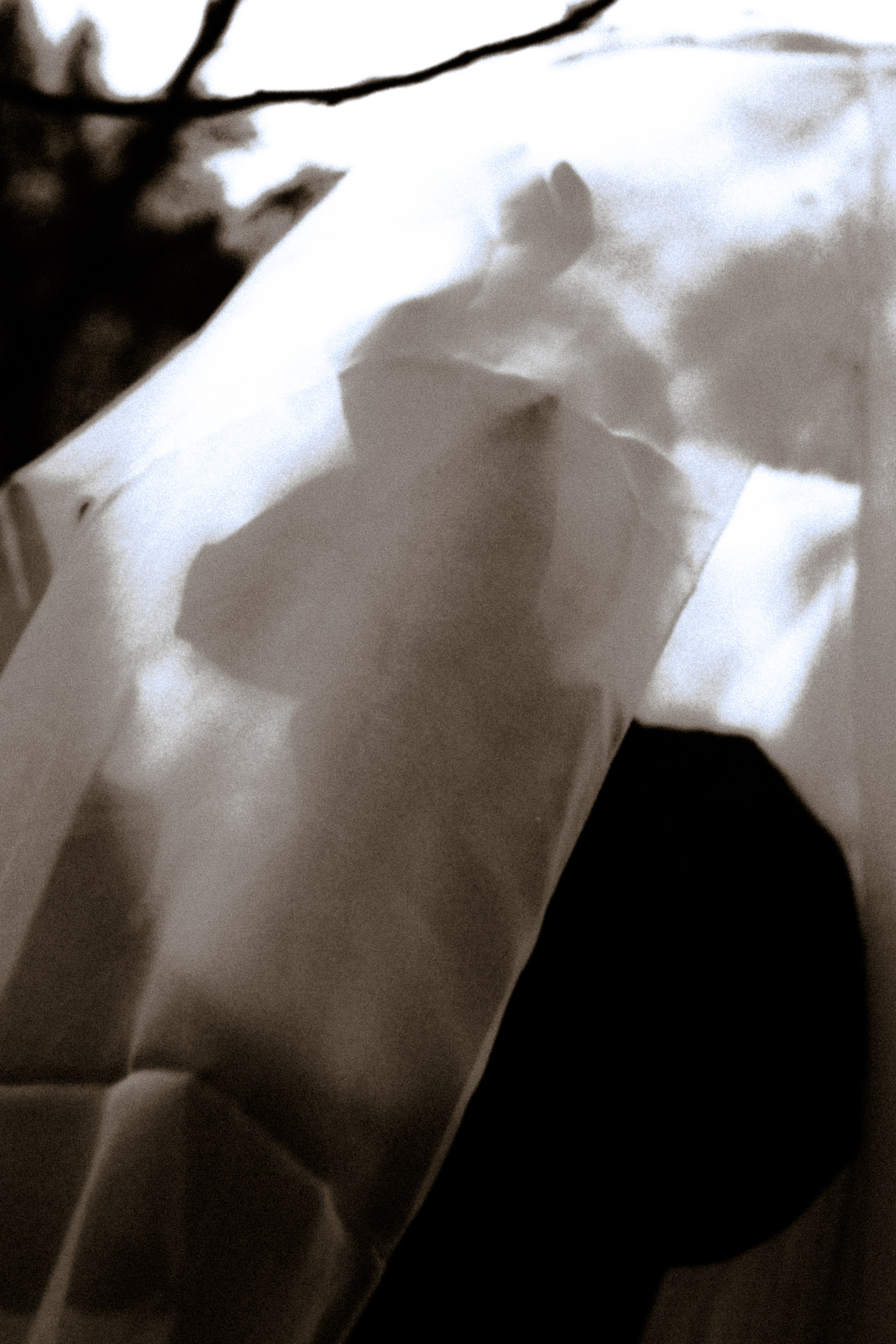 Марина. Ѣль Татьяна Григъ ~ винтажный фотограф