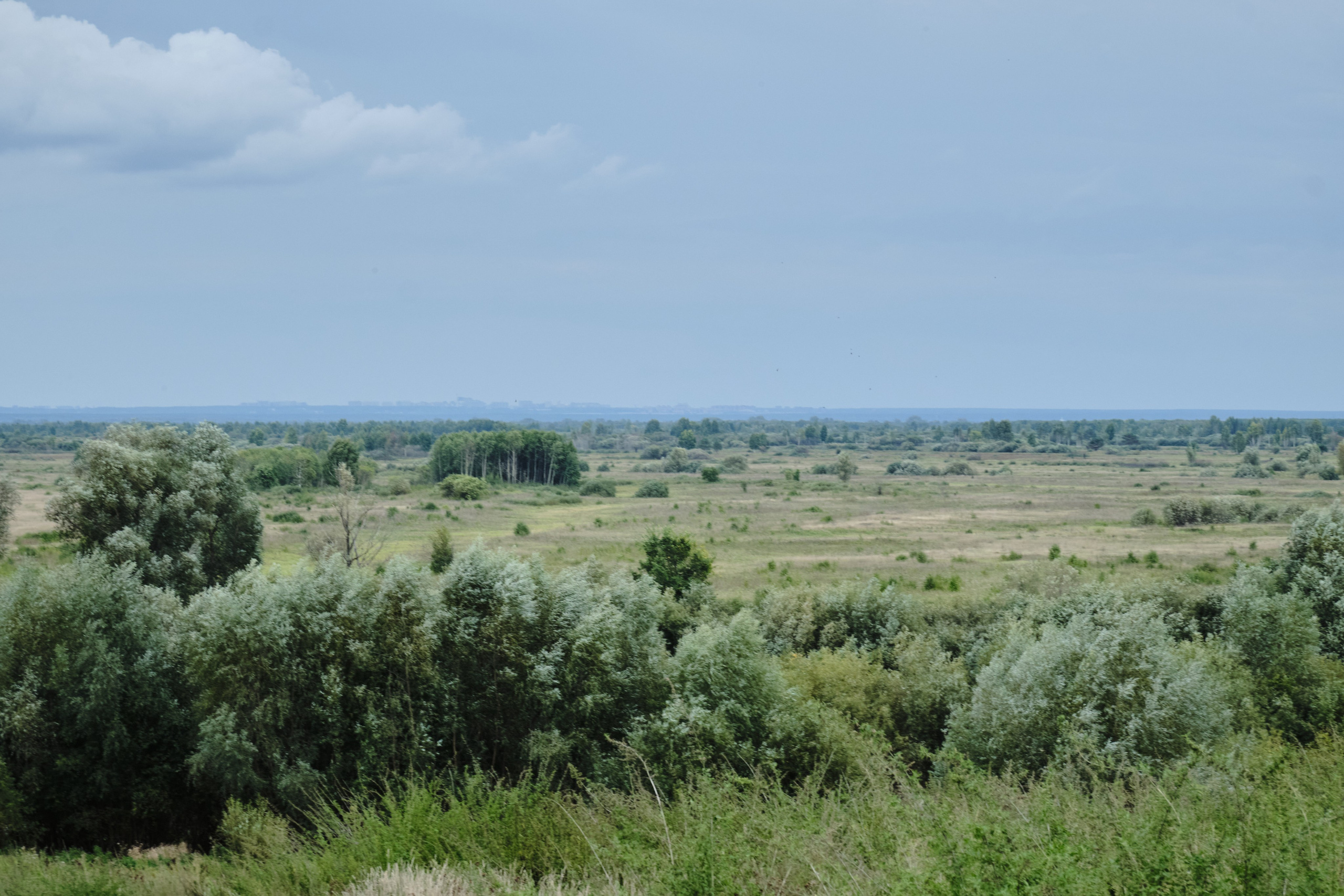 Колывань. Goncharov Tim