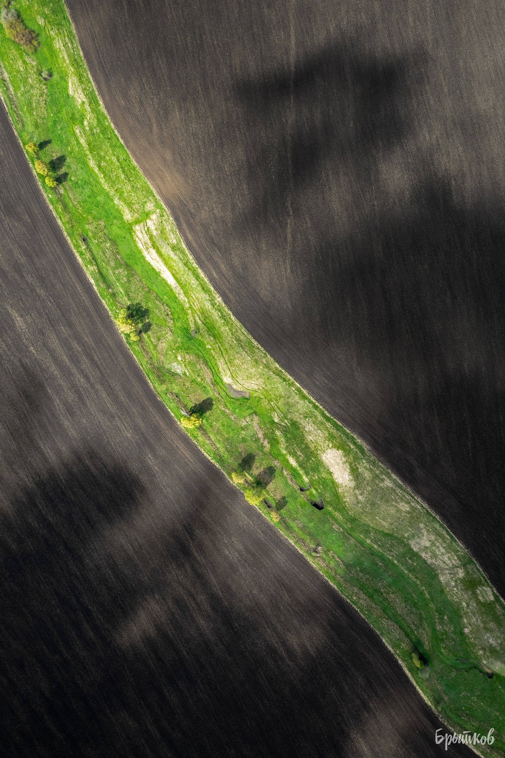 Селиваново. Николай Брытков — фотограф в Туле