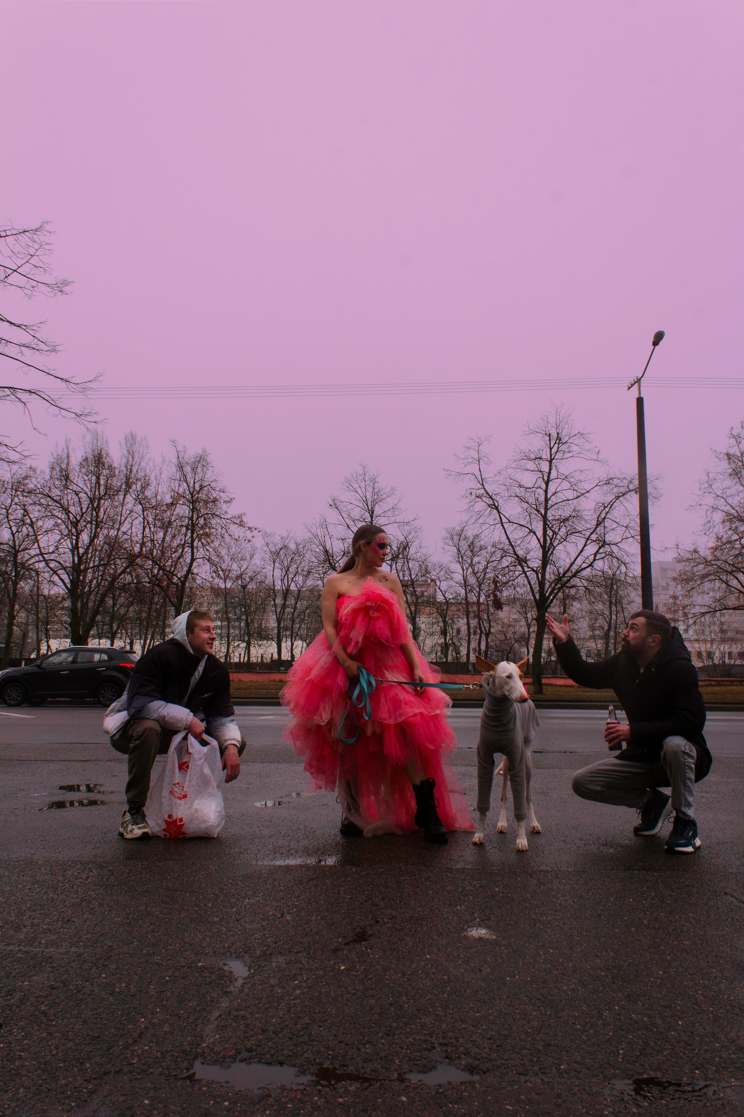 Яркая собачья жизнь