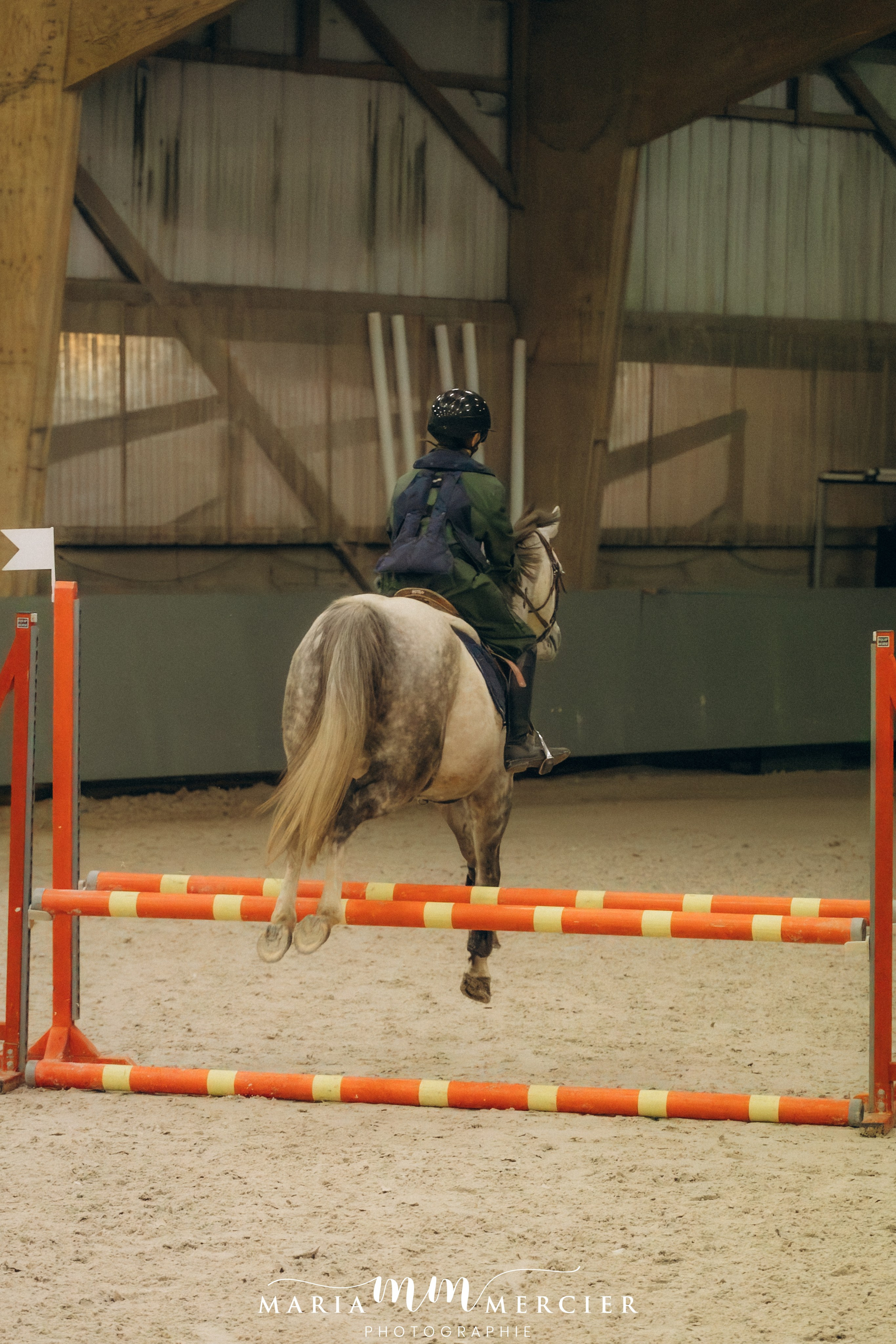 Evènements. Photographe des familles et enfants à Nantes et alentours