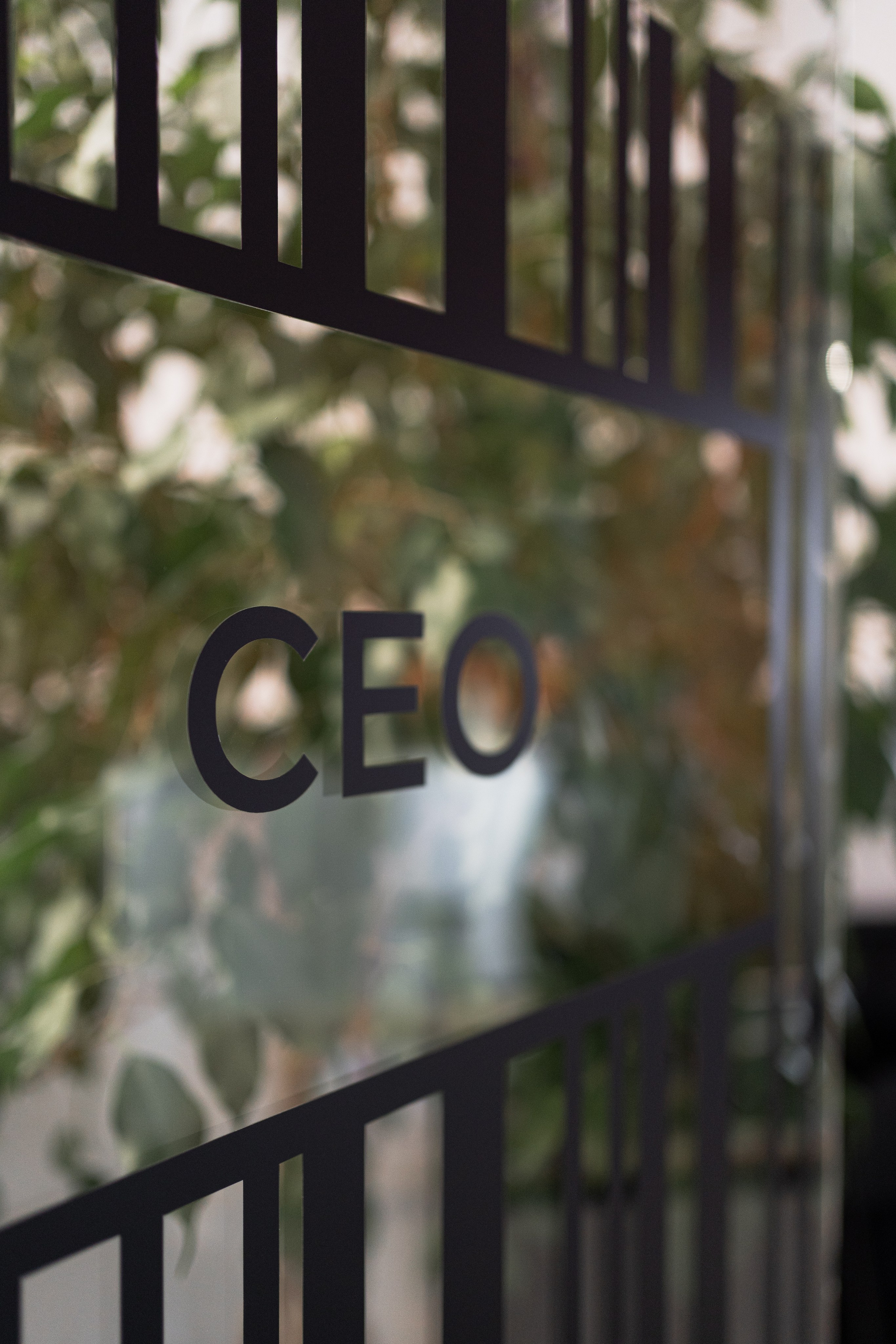 Terra. Елена Пашкевич, фотограф, Москва