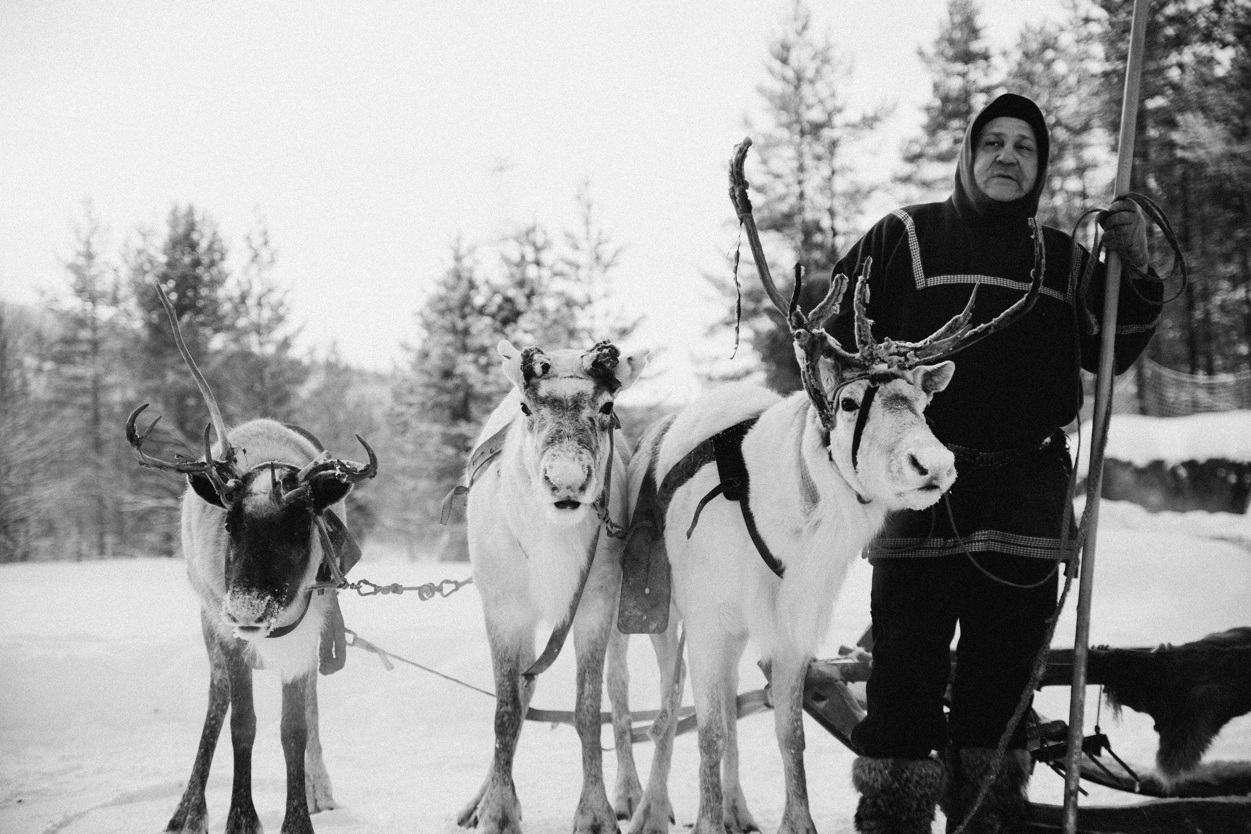 Териберка 2025. Репортажный и детский фотограф в Минске