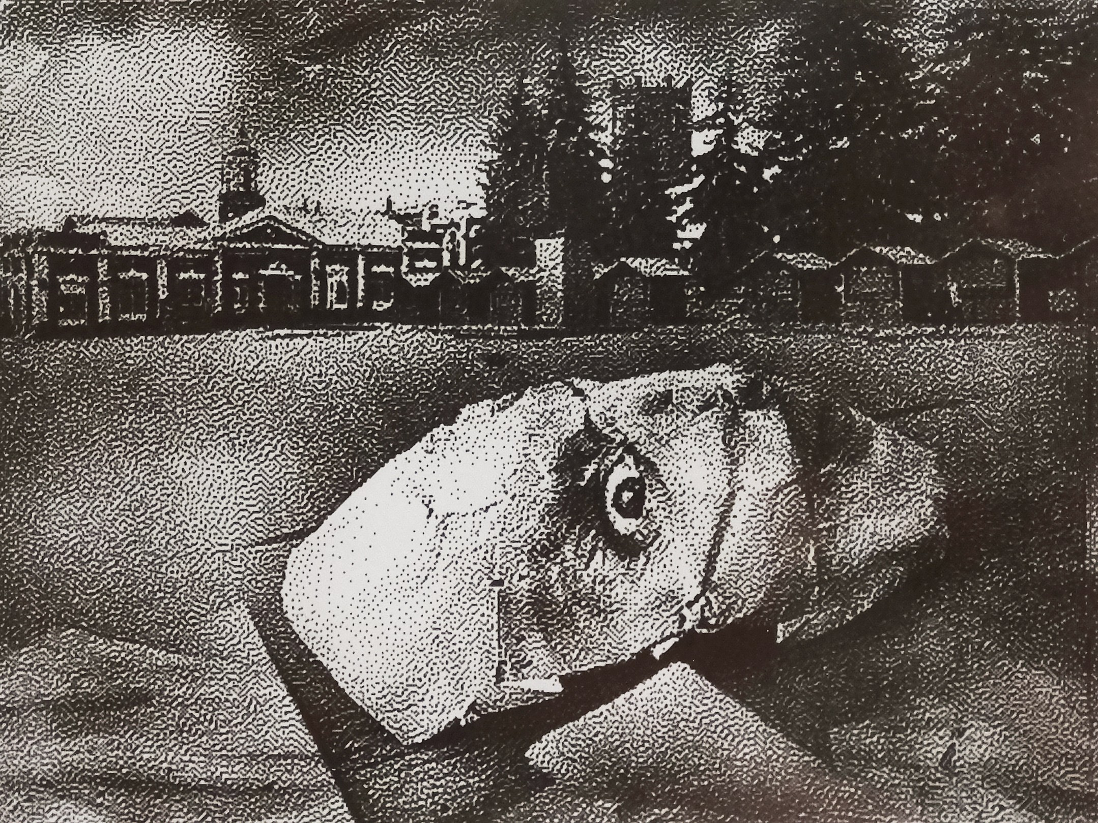 Осколки ужаса. Мария Завьялова | фотограф и преподаватель фотографии