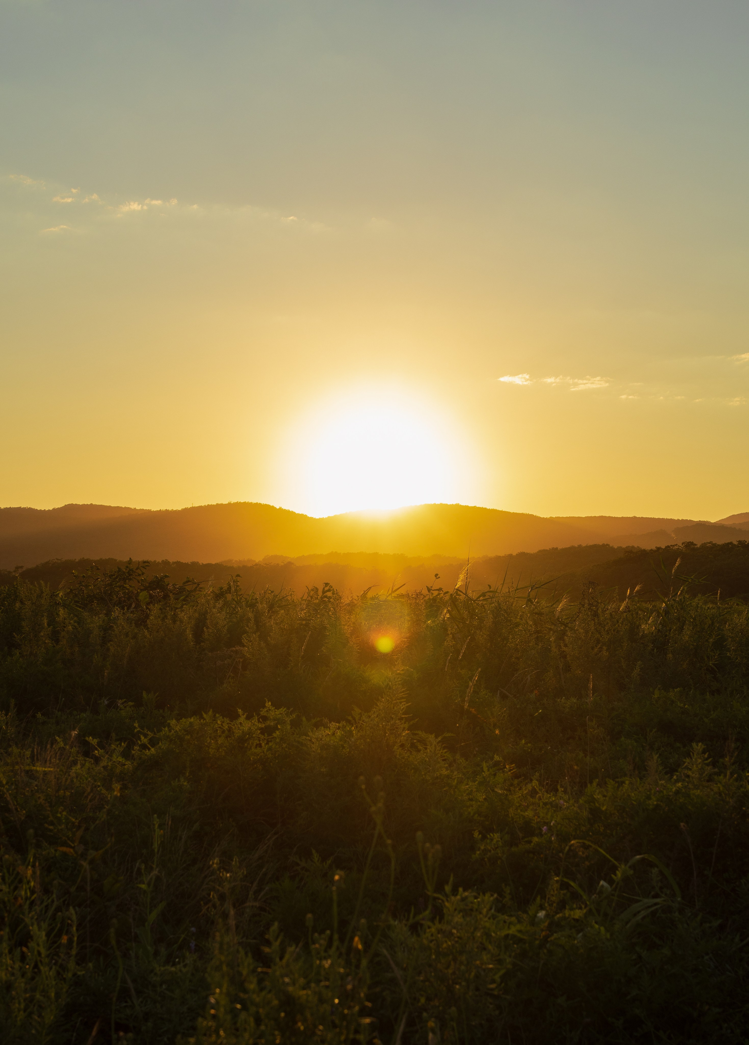 Летний вечер. Константин Кириченко