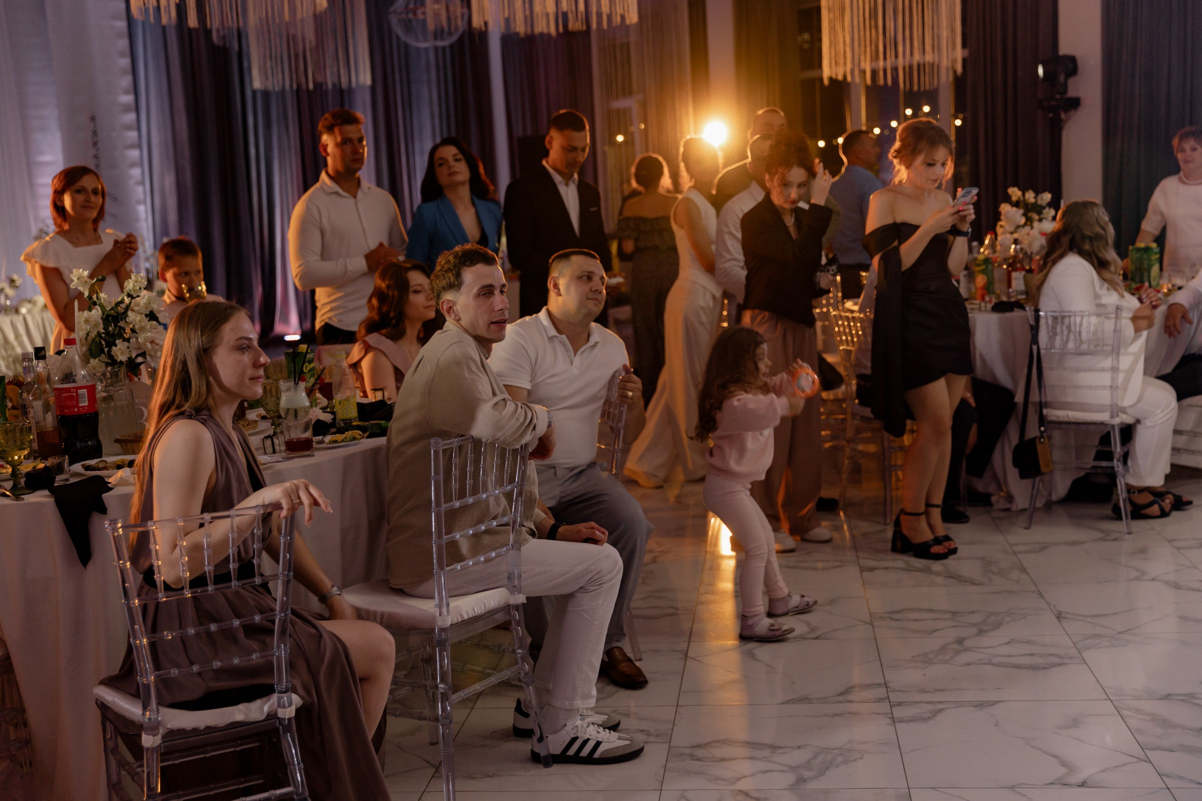 Свадьба пес и котики. Dima Lemeshevsky