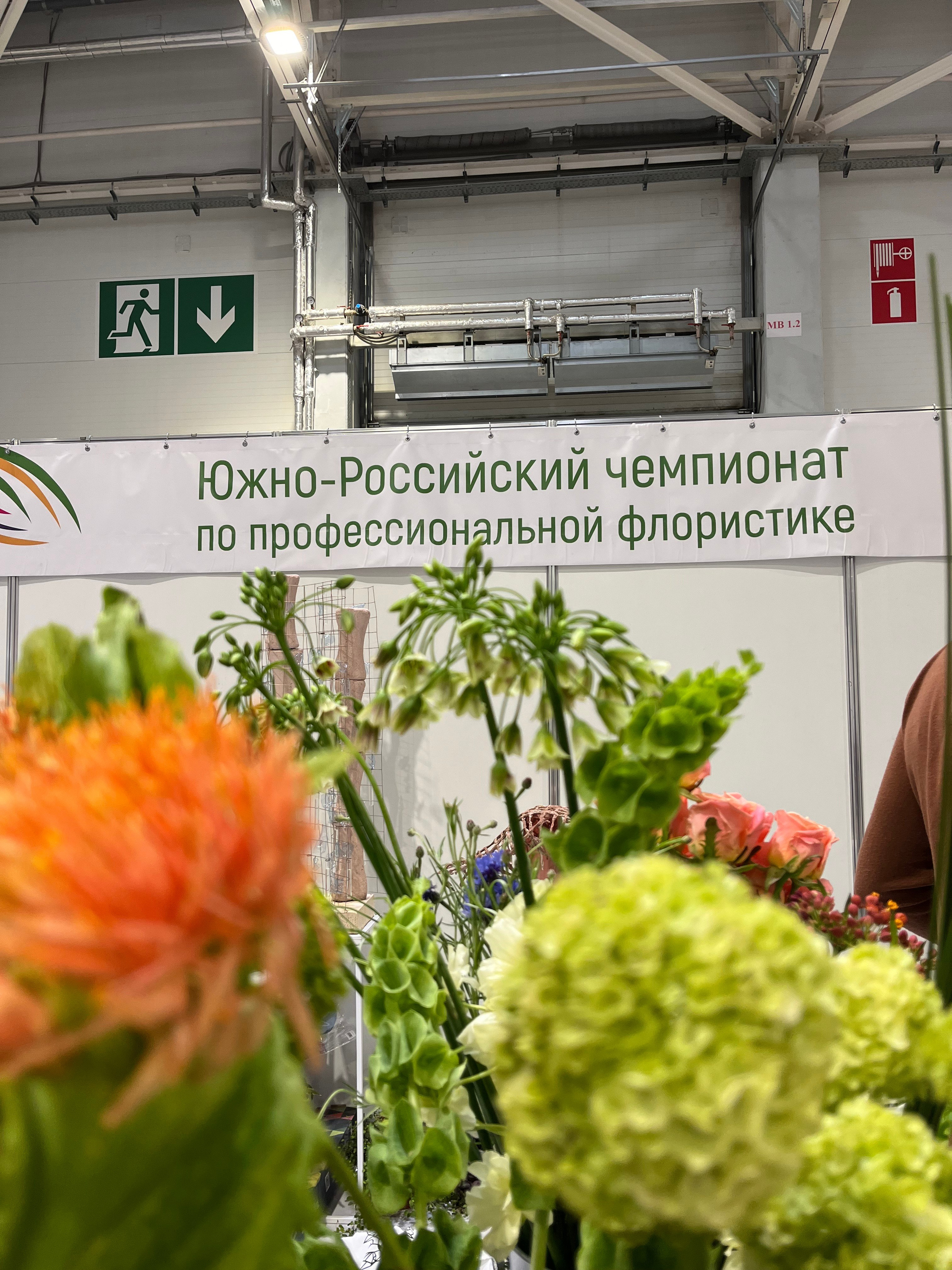 ЛЮБИМЫЕ ЦВЕТЫ