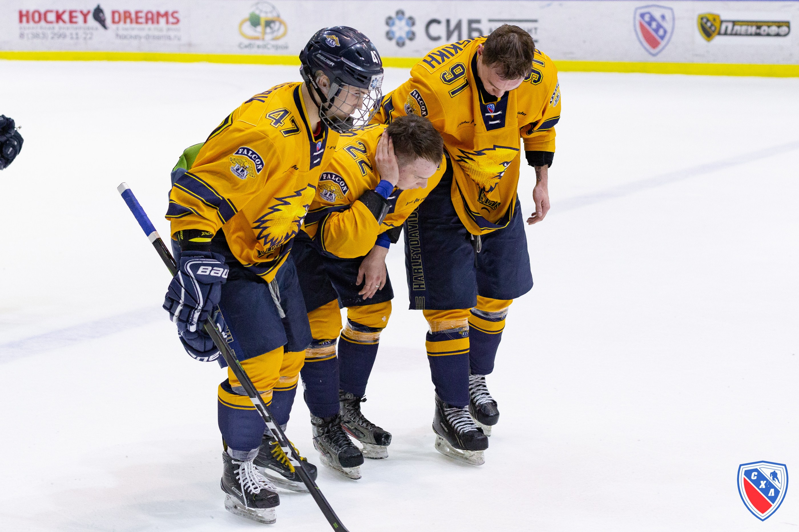 Хоккей. Фотограф Комаров Сергей