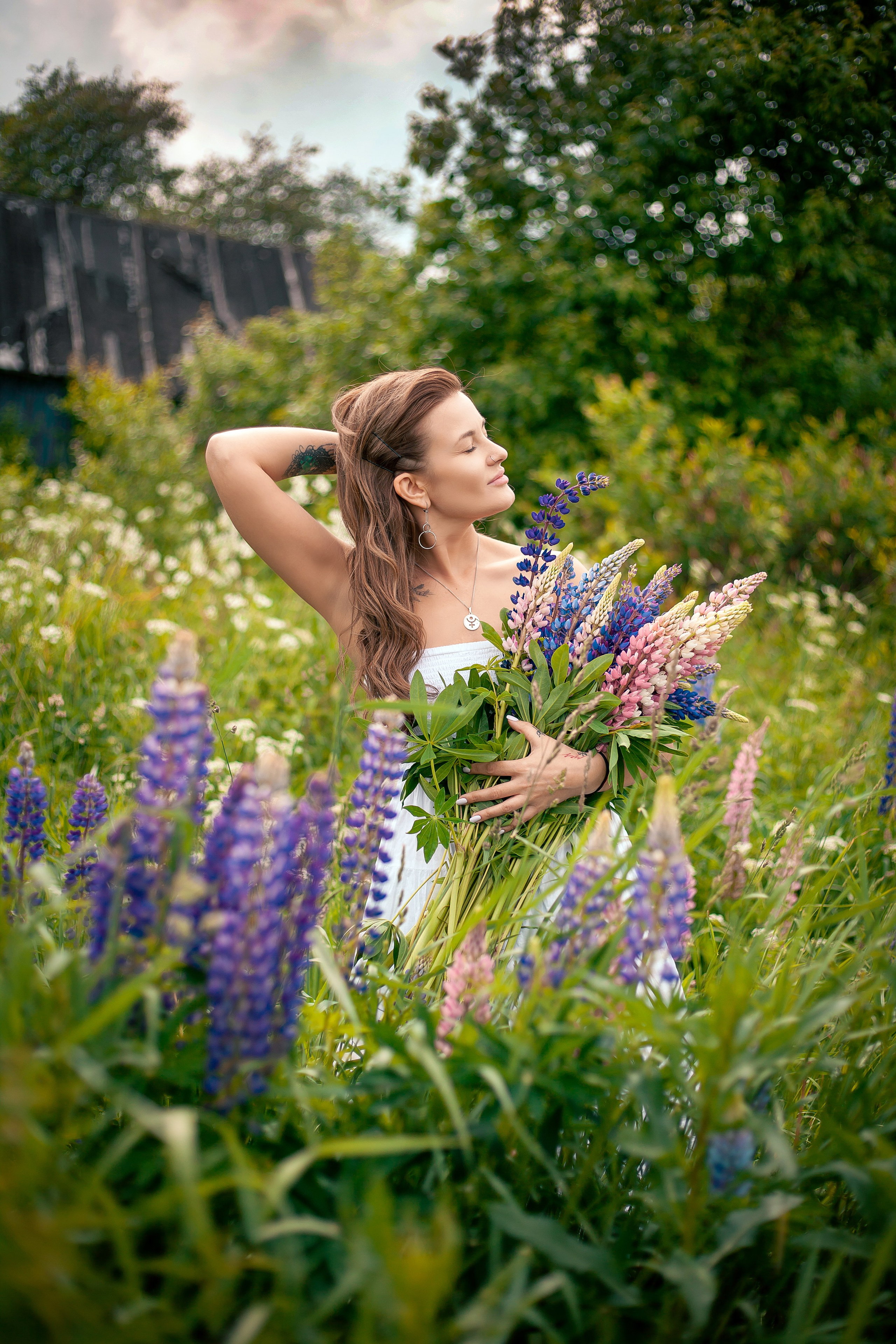 Люпины. Фотограф Мария Кольцова