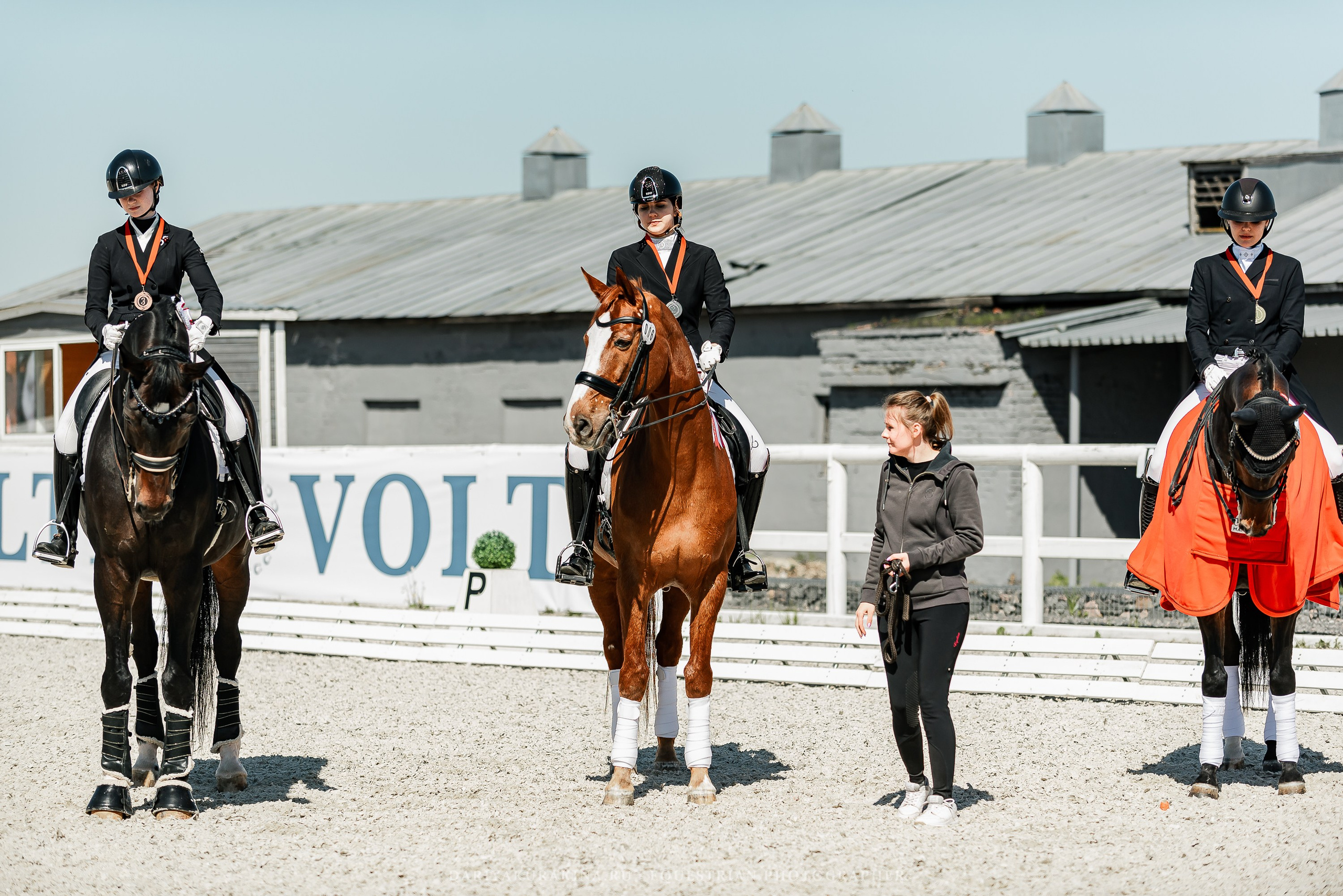 РЕПОРТАЖ МКК ВОЛЬТ «LA TULIPS». Конный фотограф Куракина Дарья • Фотосессии с лошадьми
