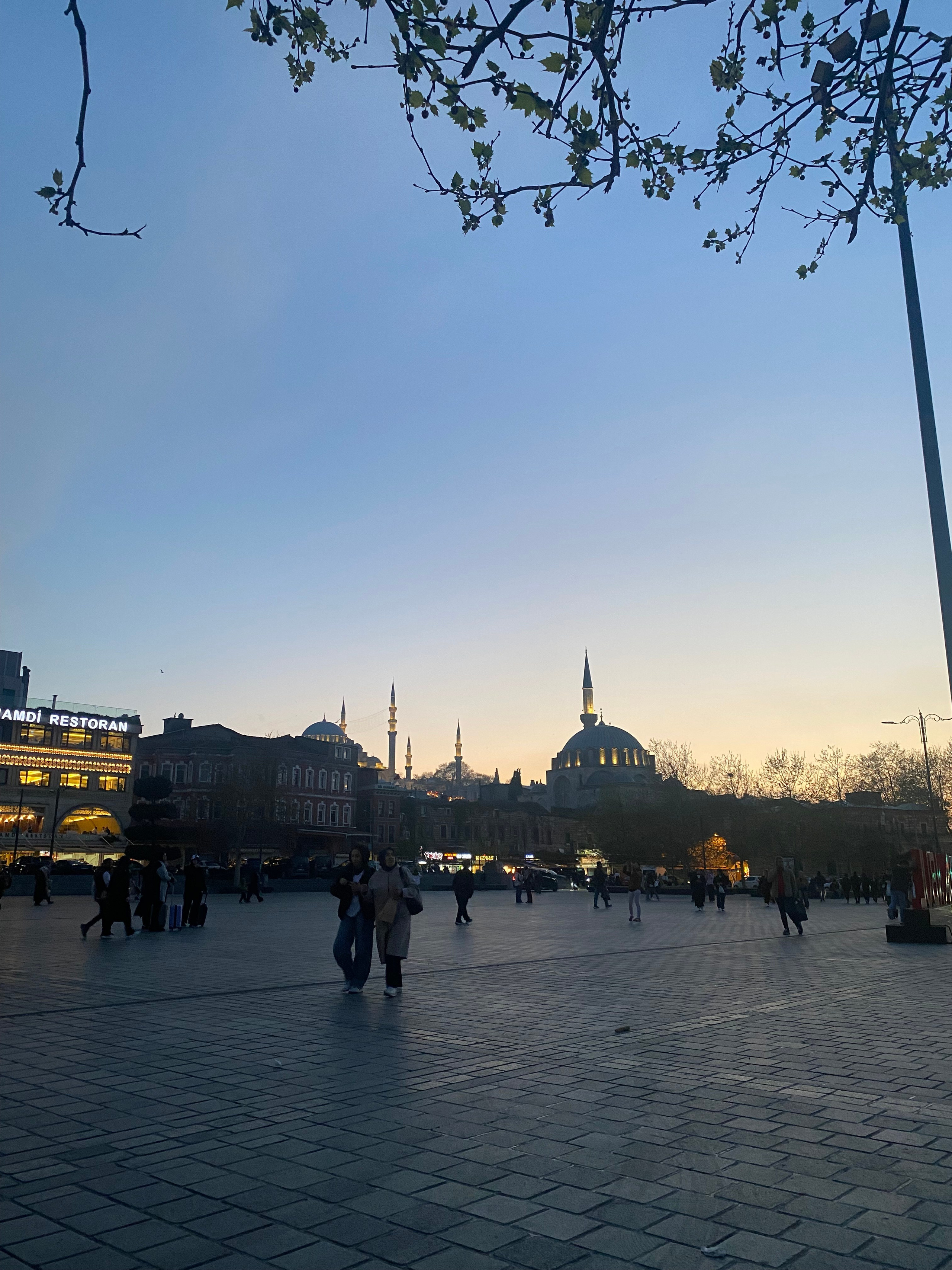 2025 год. Тащилин Сергей. Фотографии. Жизнь. Хобби