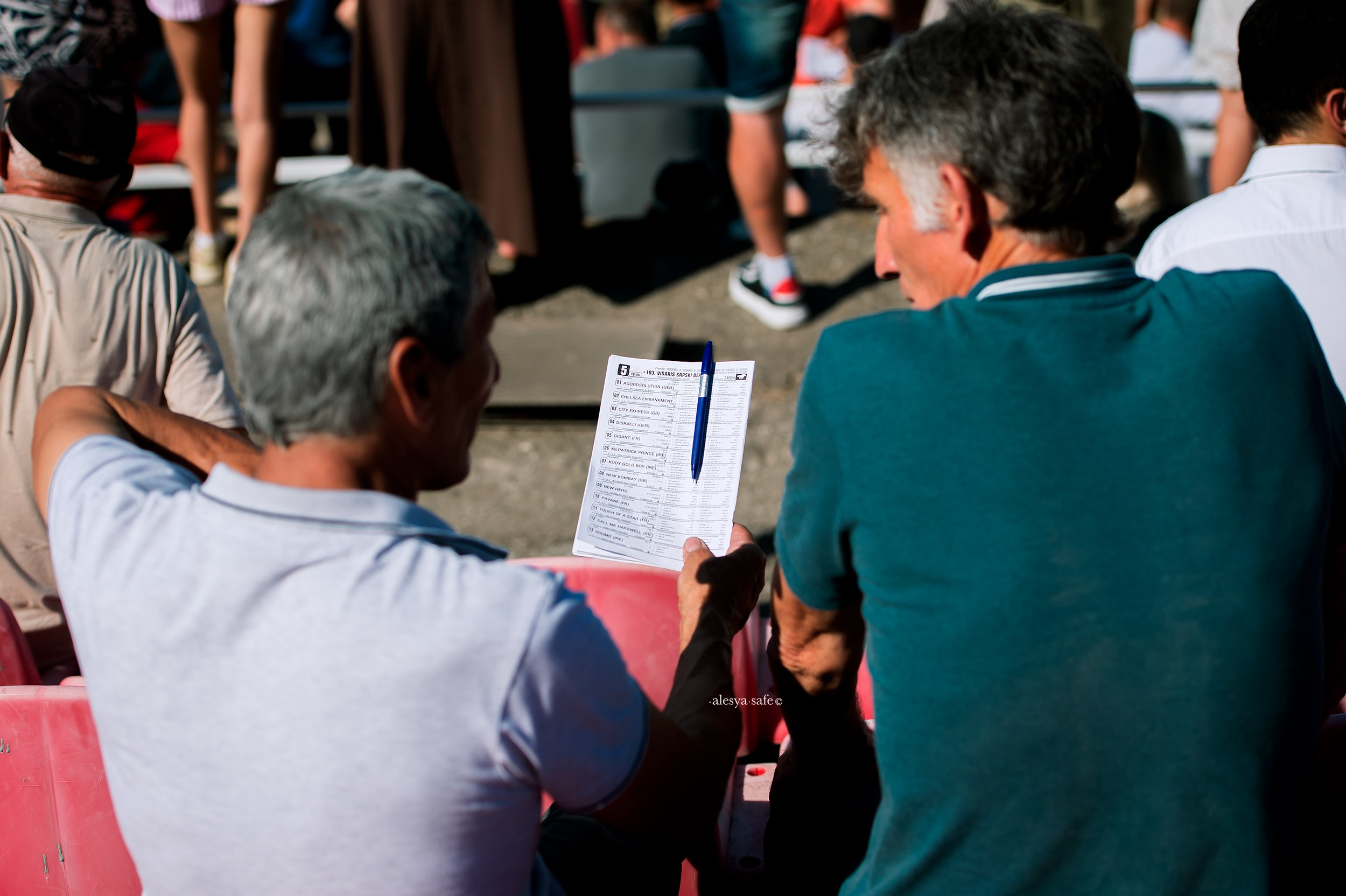 Скачки. Конный фотограф Alesya Safe