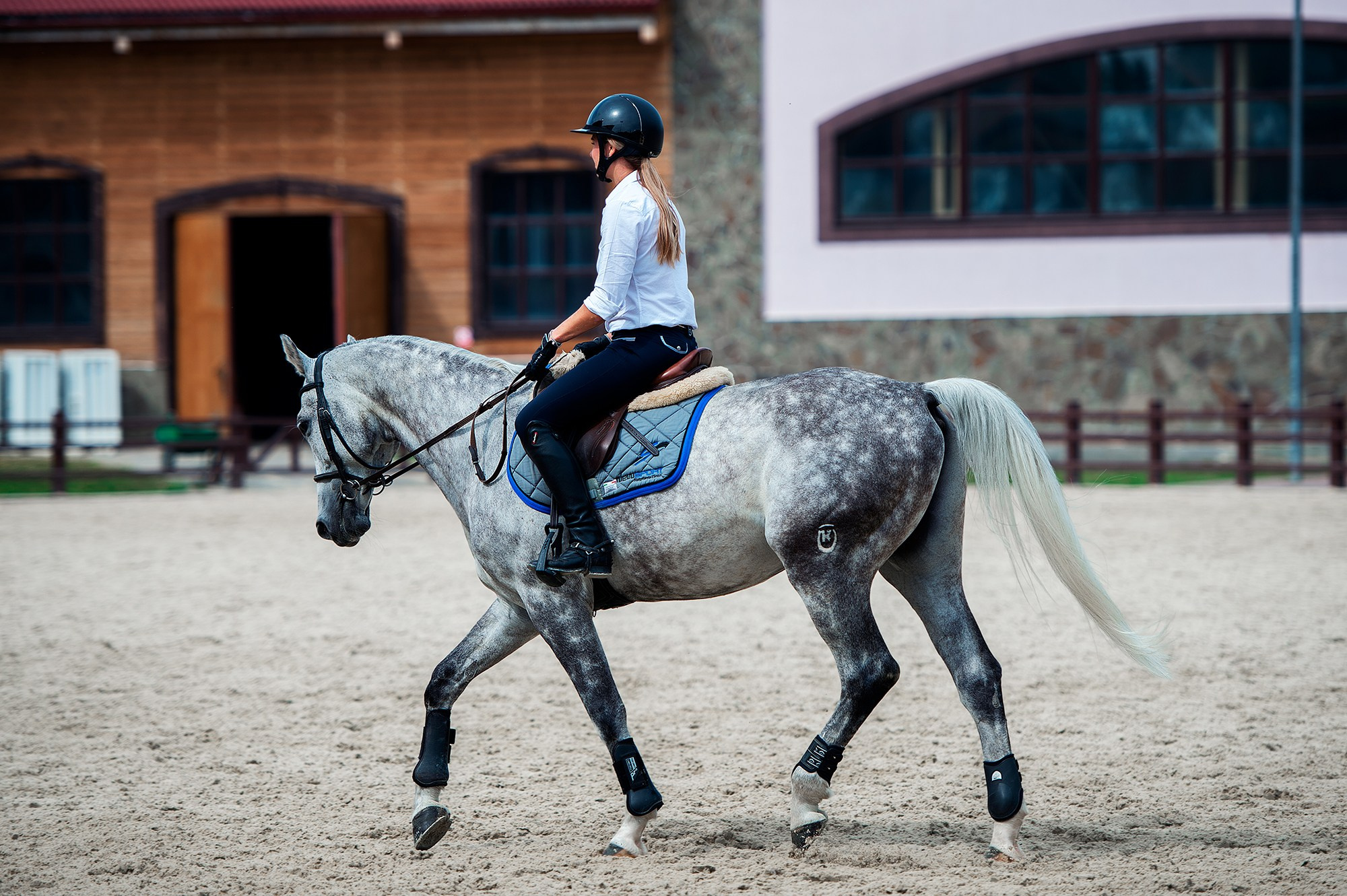 Тренировки. Конный фотограф Alesya Safe