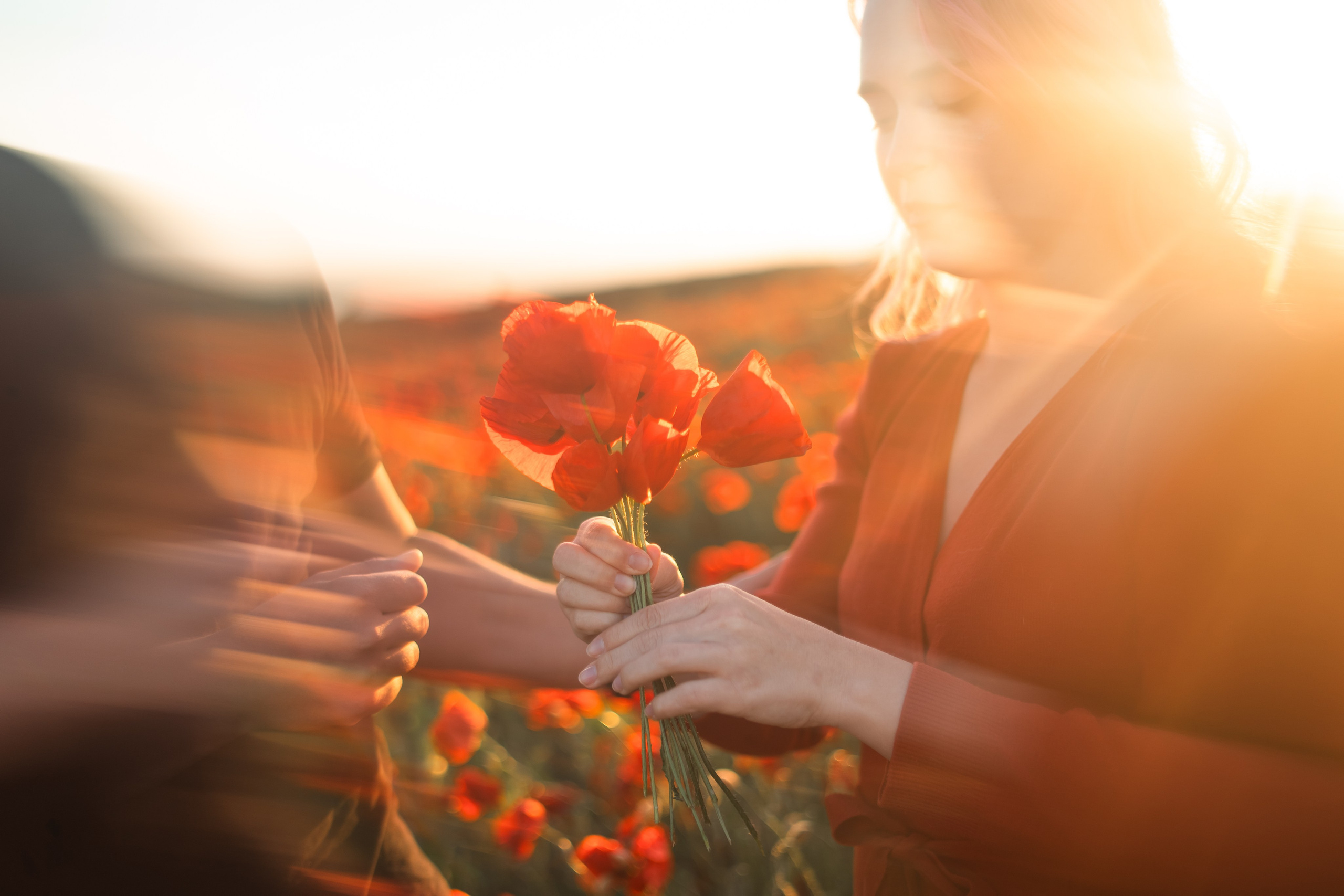 Маковое поле. Фотограф анималист