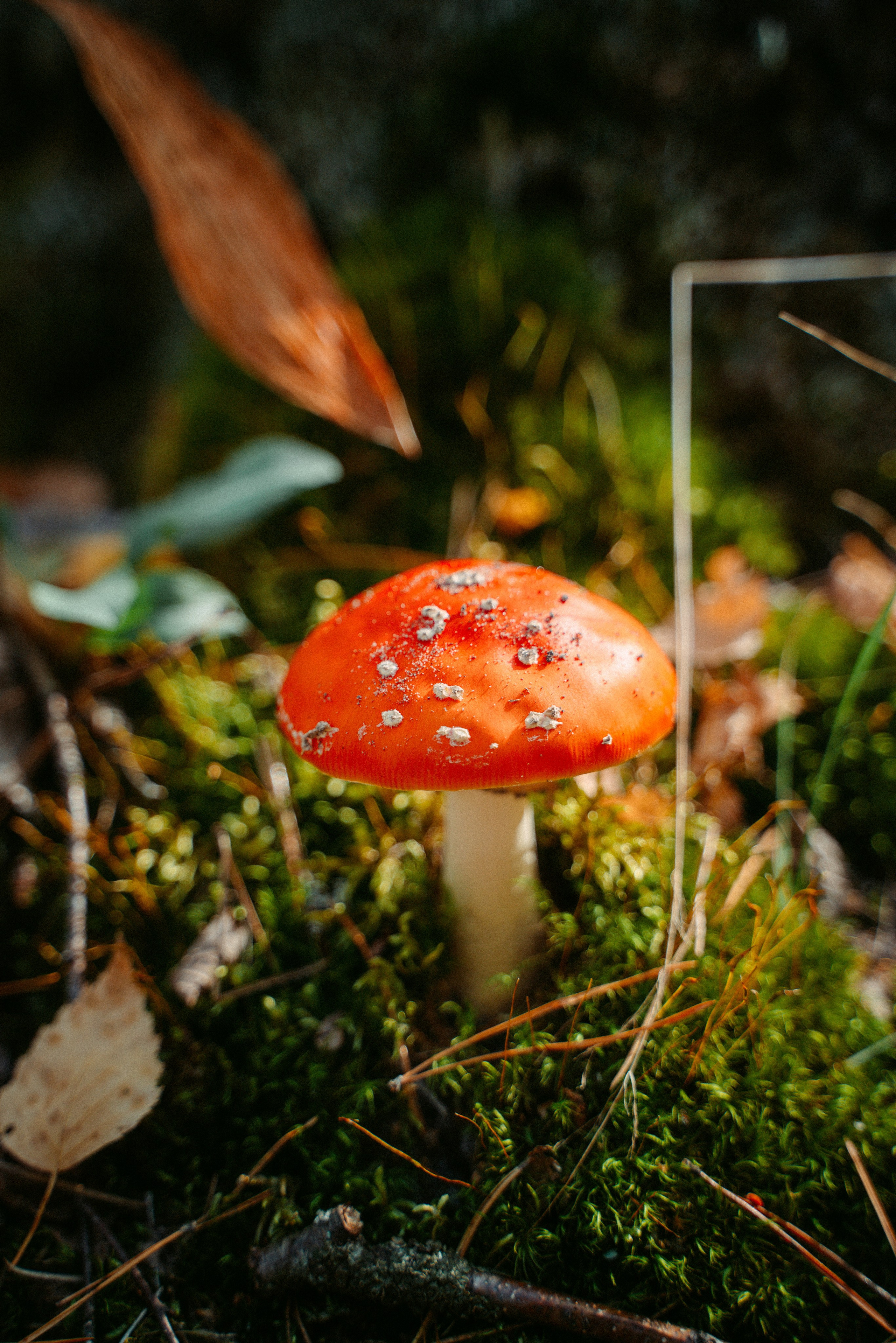 Good Friends Trip / команда локальных путешествий. Саша Копылов, фотограф в Казани