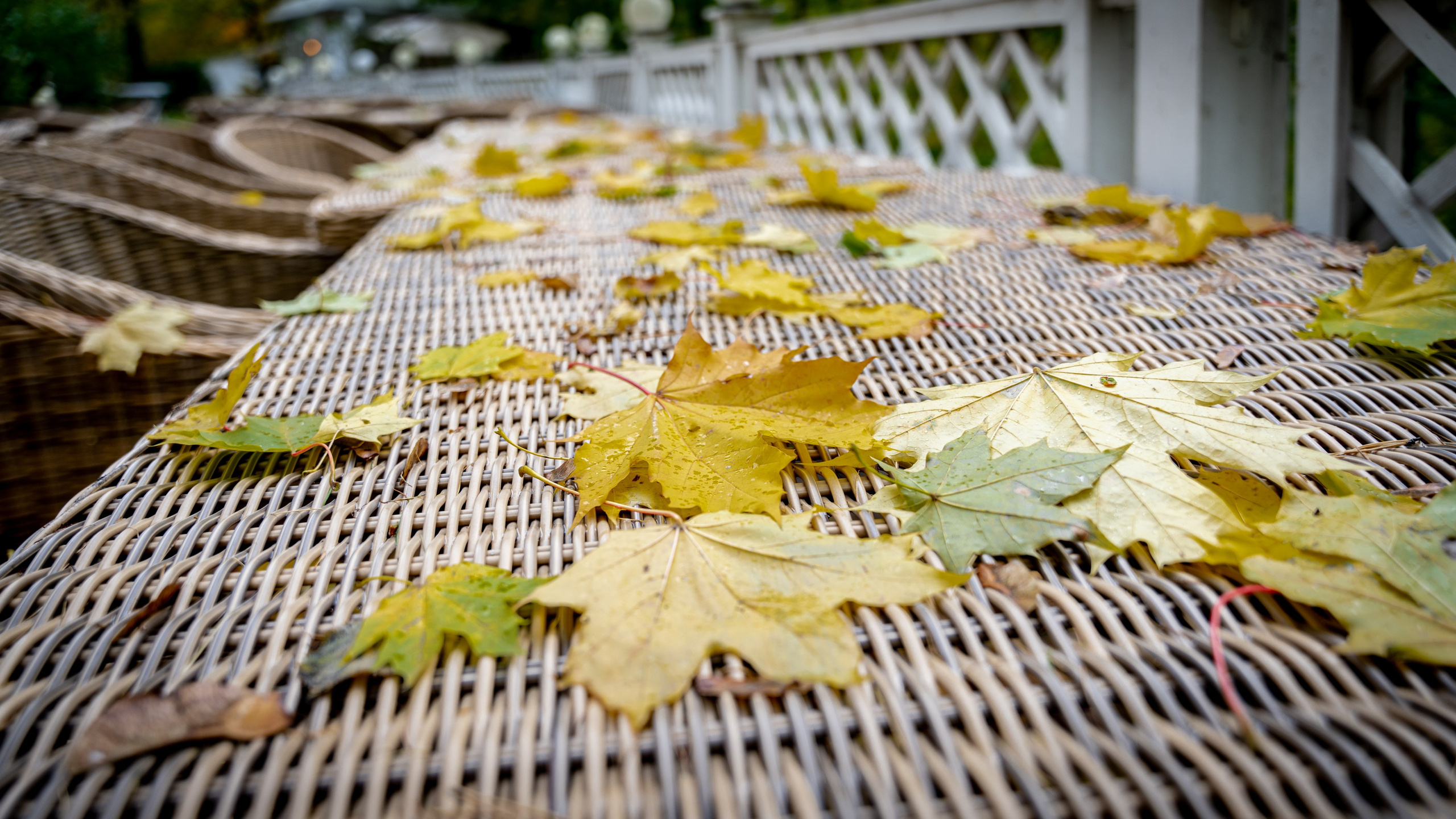 Архангельское. ПОБУДЬ ЗДЕСЬ И ЦЕЛЕЕ БУДЕТ ЭТОТ МИР