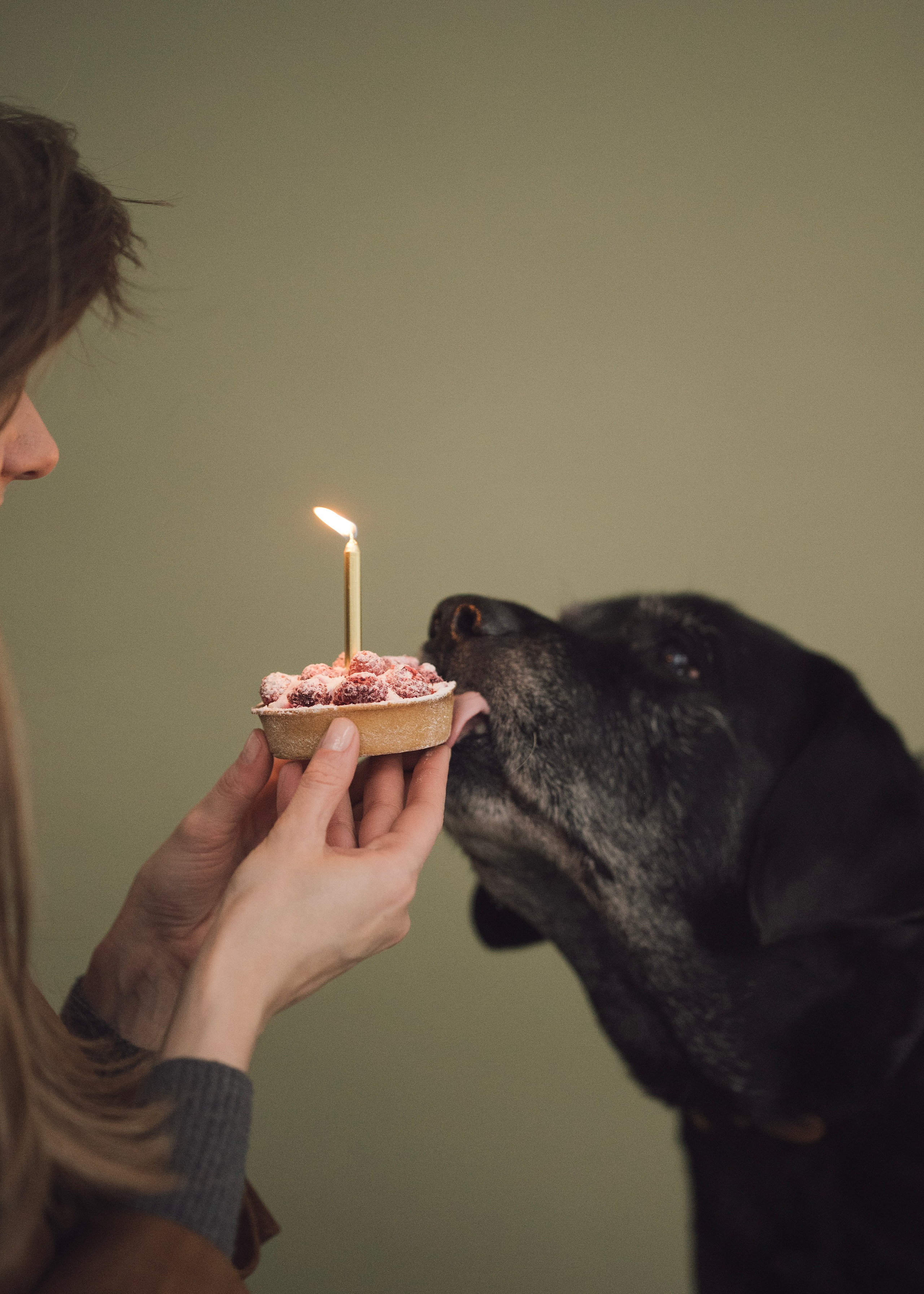 Бэста. Фотограф- анималист Александра Матвеева