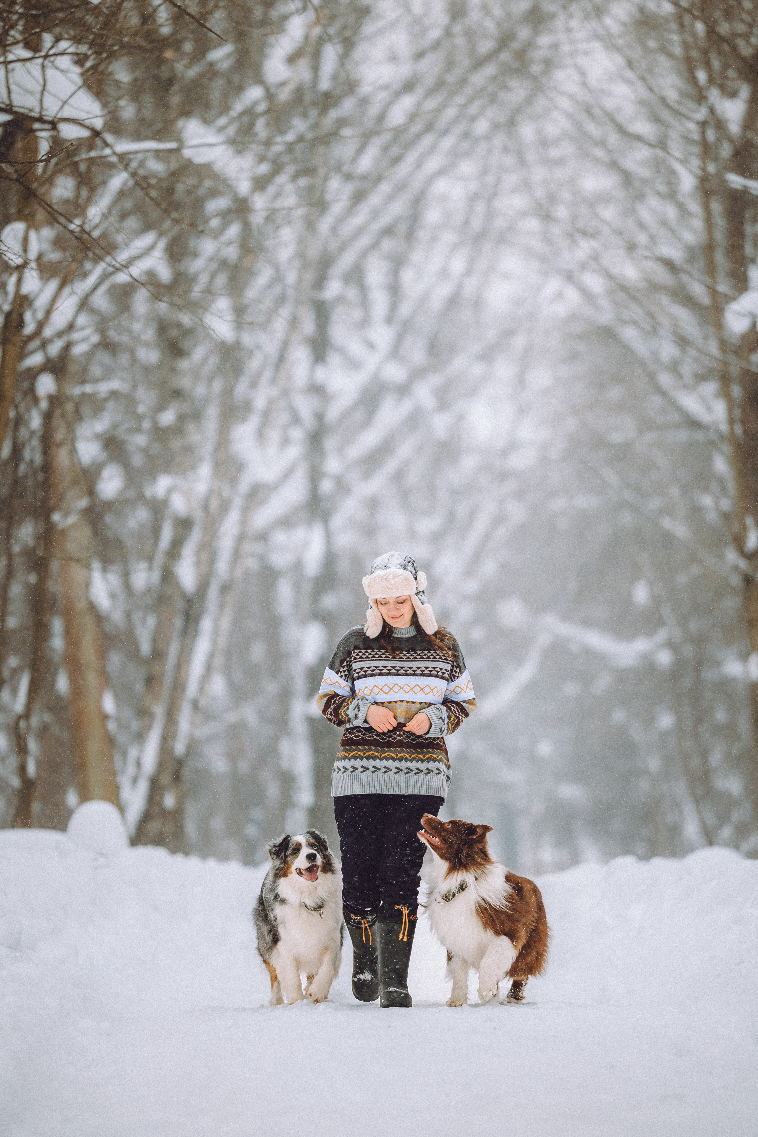 Лена, Принц и Фенек