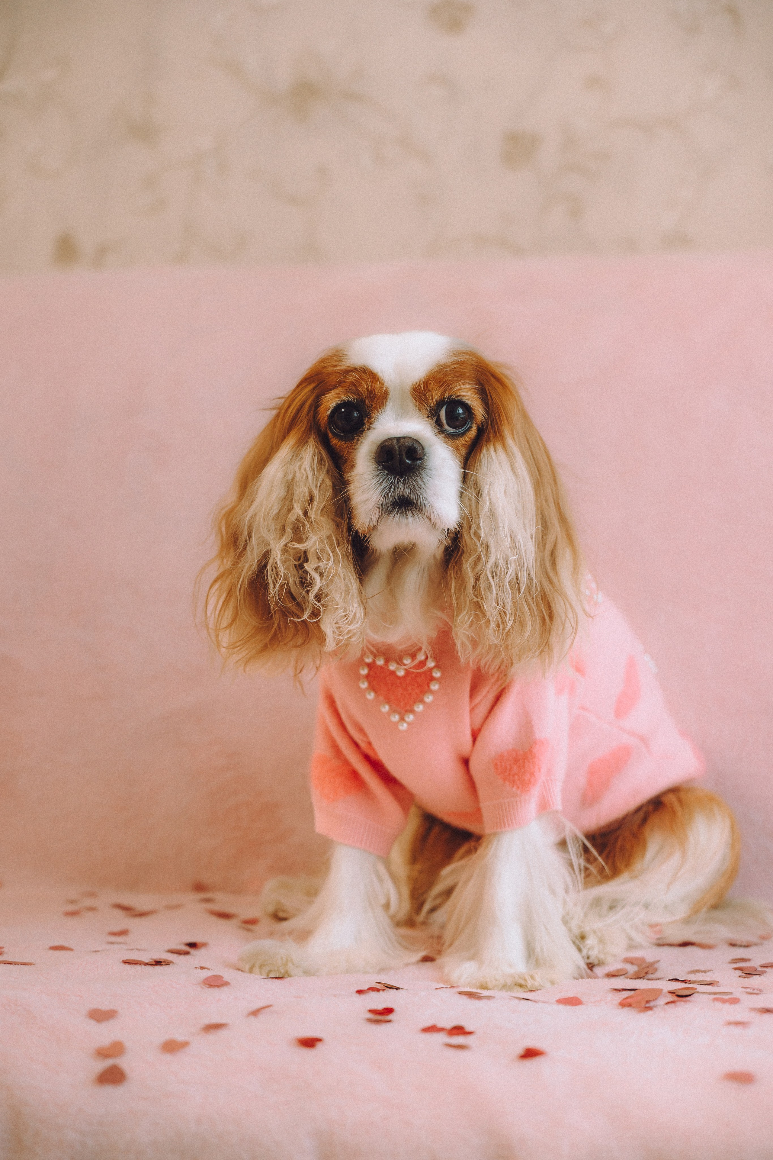 Наташа и Вики