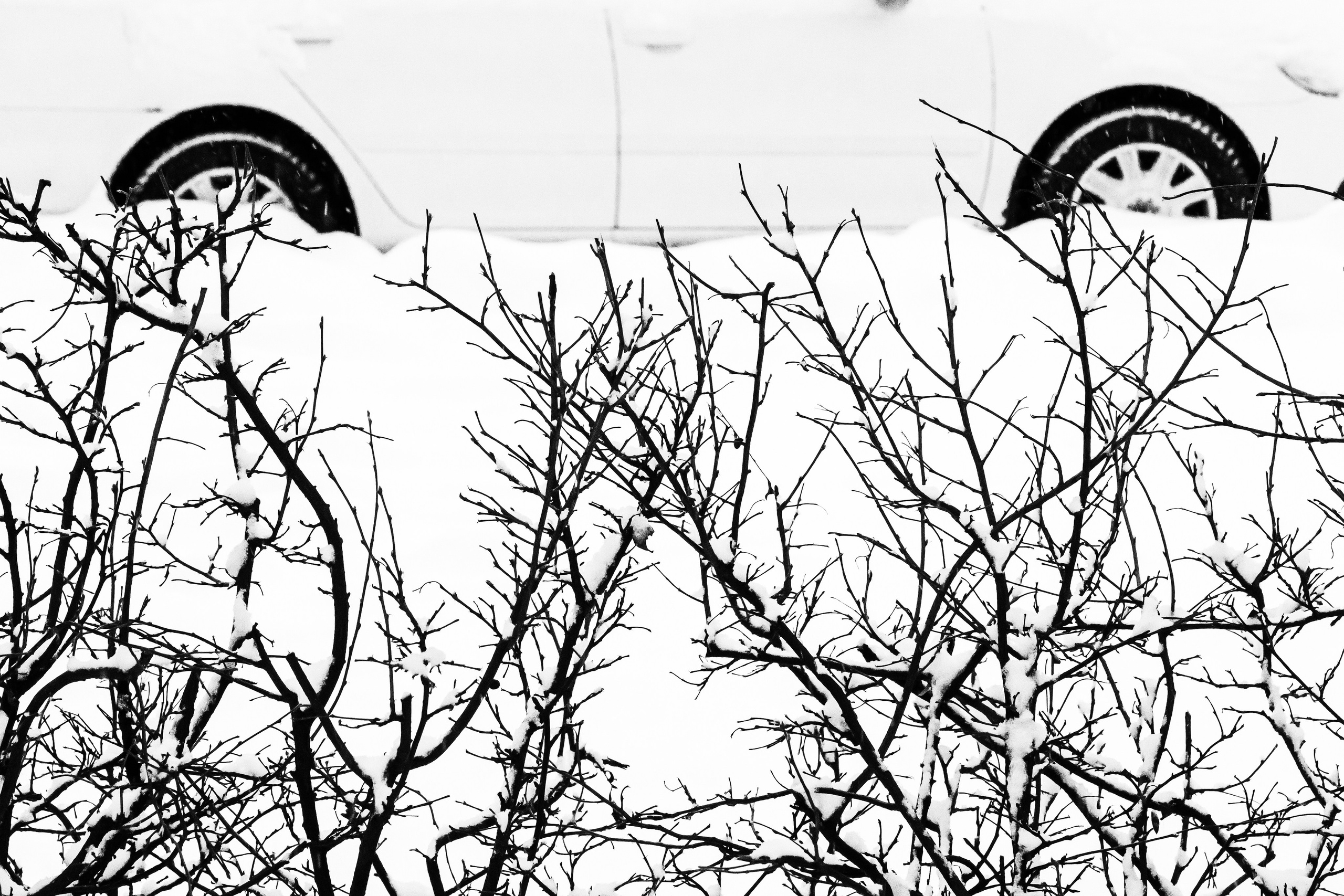 Abstraction. Dimitri Bakhtadze photographer