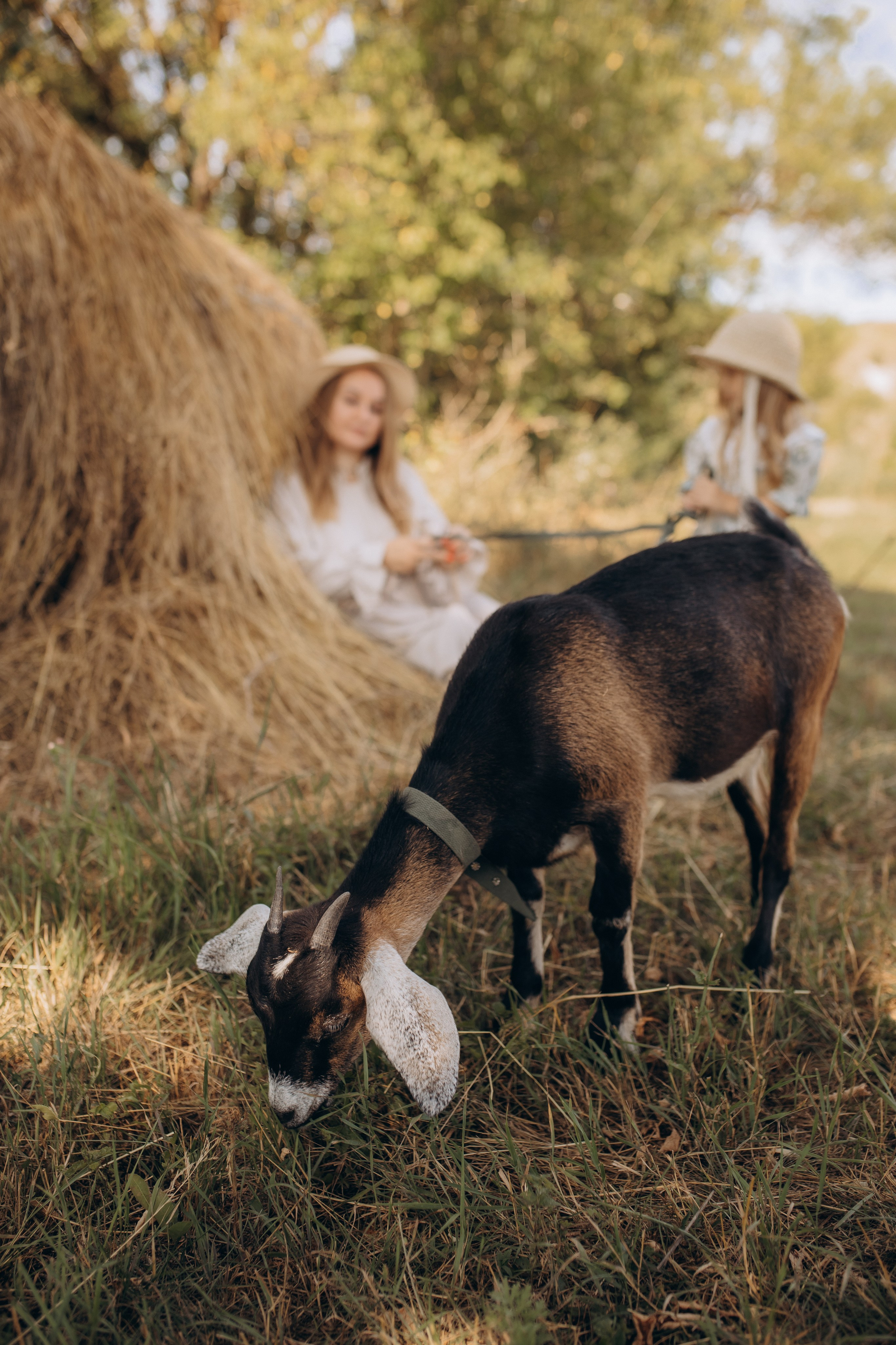 Дашуля и Кирюша. Свадебный и семейный фотограф в Белгороде Евгения Курочкина