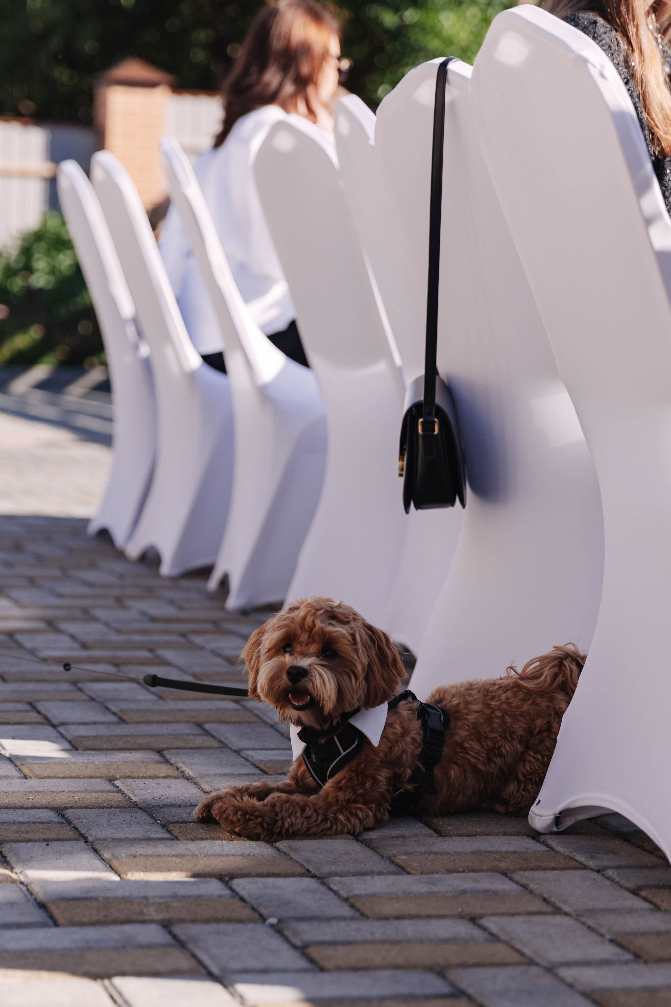 Праздник семьи. Семейный фотограф Альбина Крутелева, Екатеринбург, Ревда