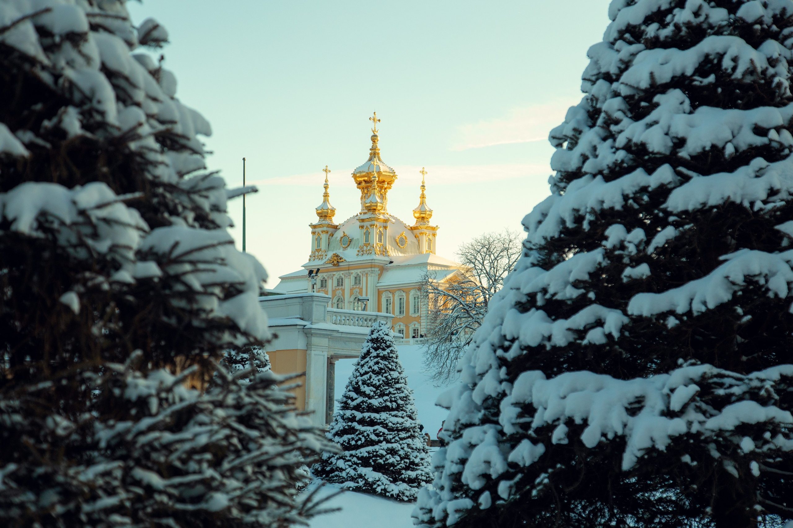 Петергоф нижний парк фото