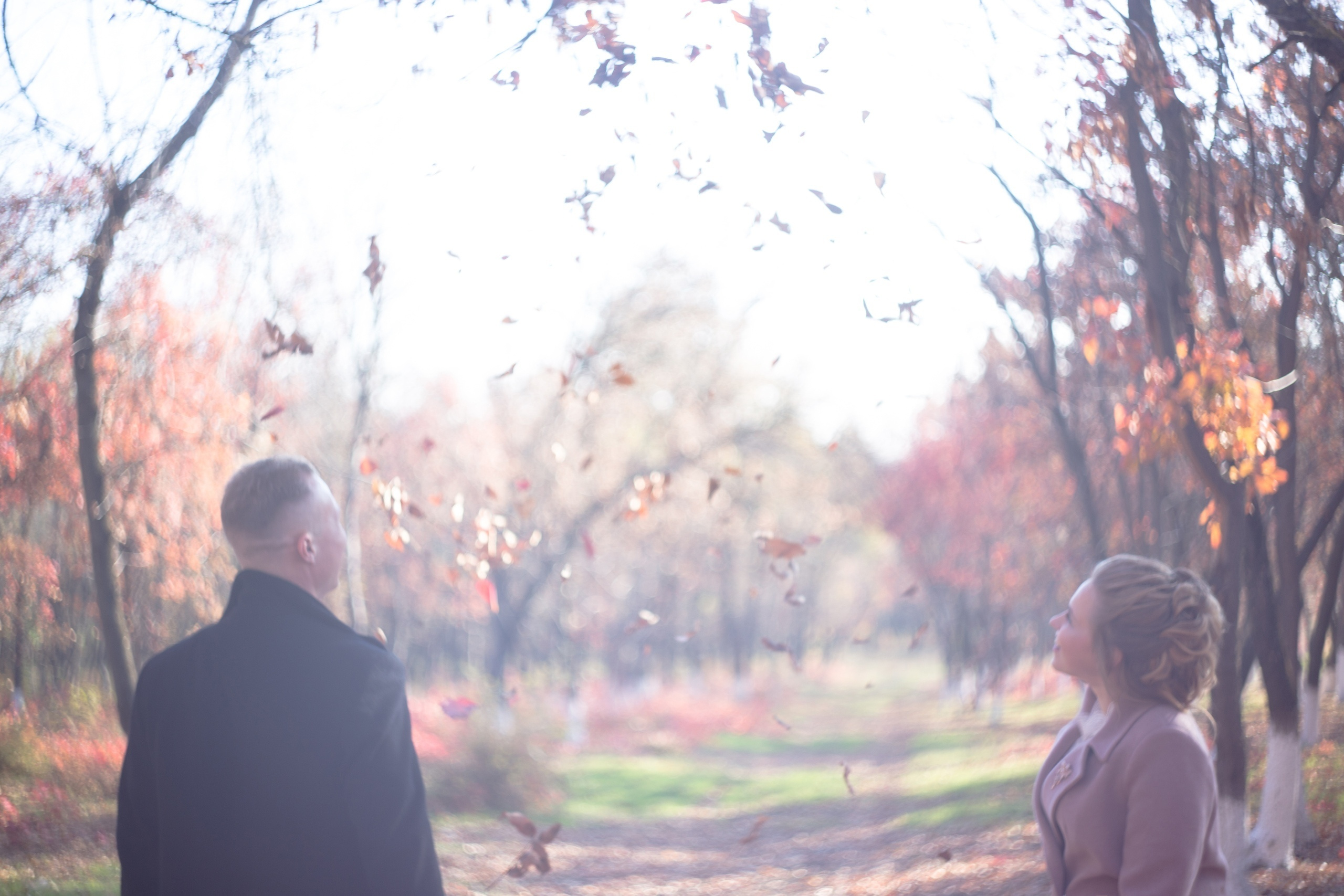 Константин и Елена. Свадебный и семейный профессиональный фотограф в Ростове-на-Дону , Кри