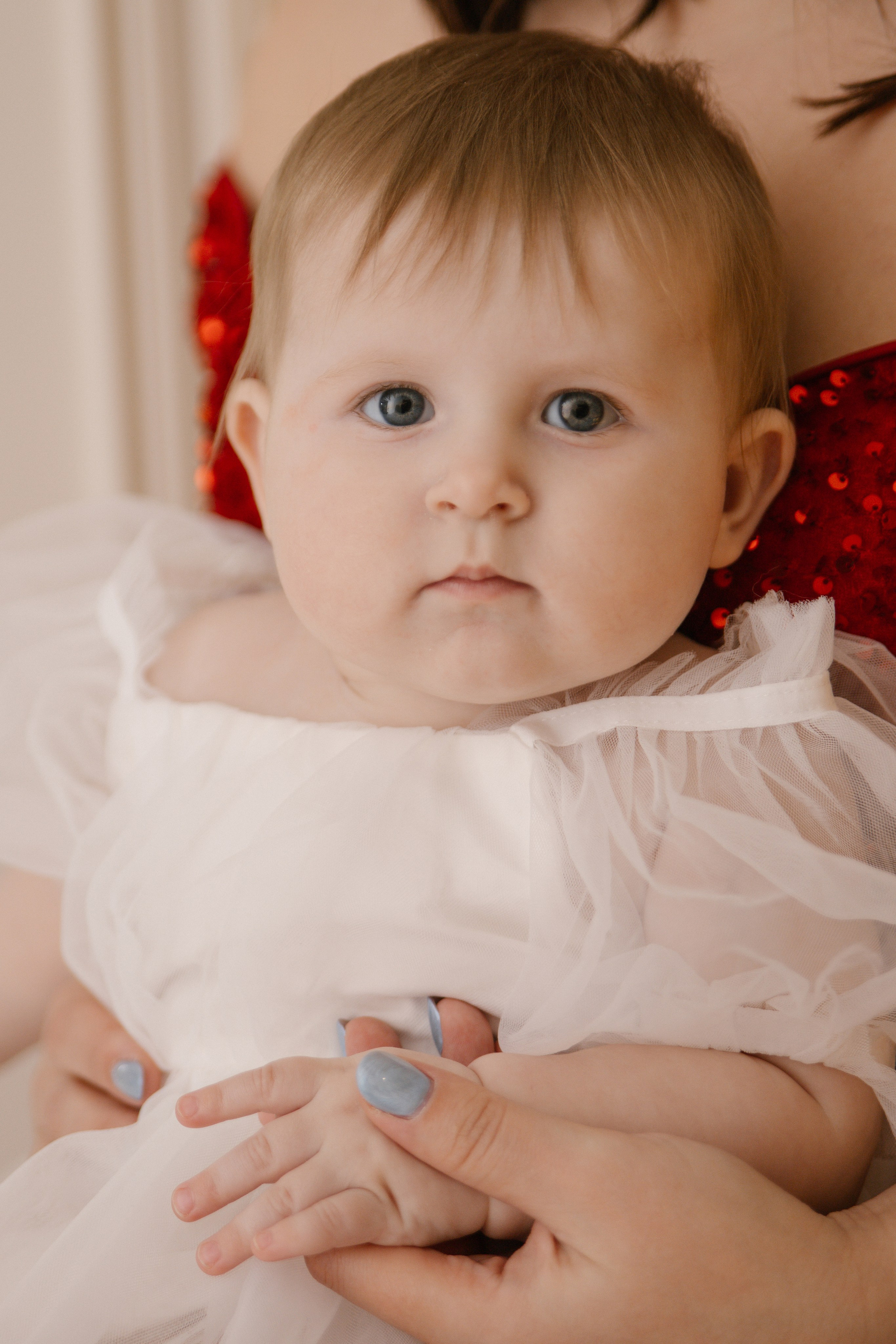 Новый год. Фотограф в городе Лыткарино Волкова Ольга