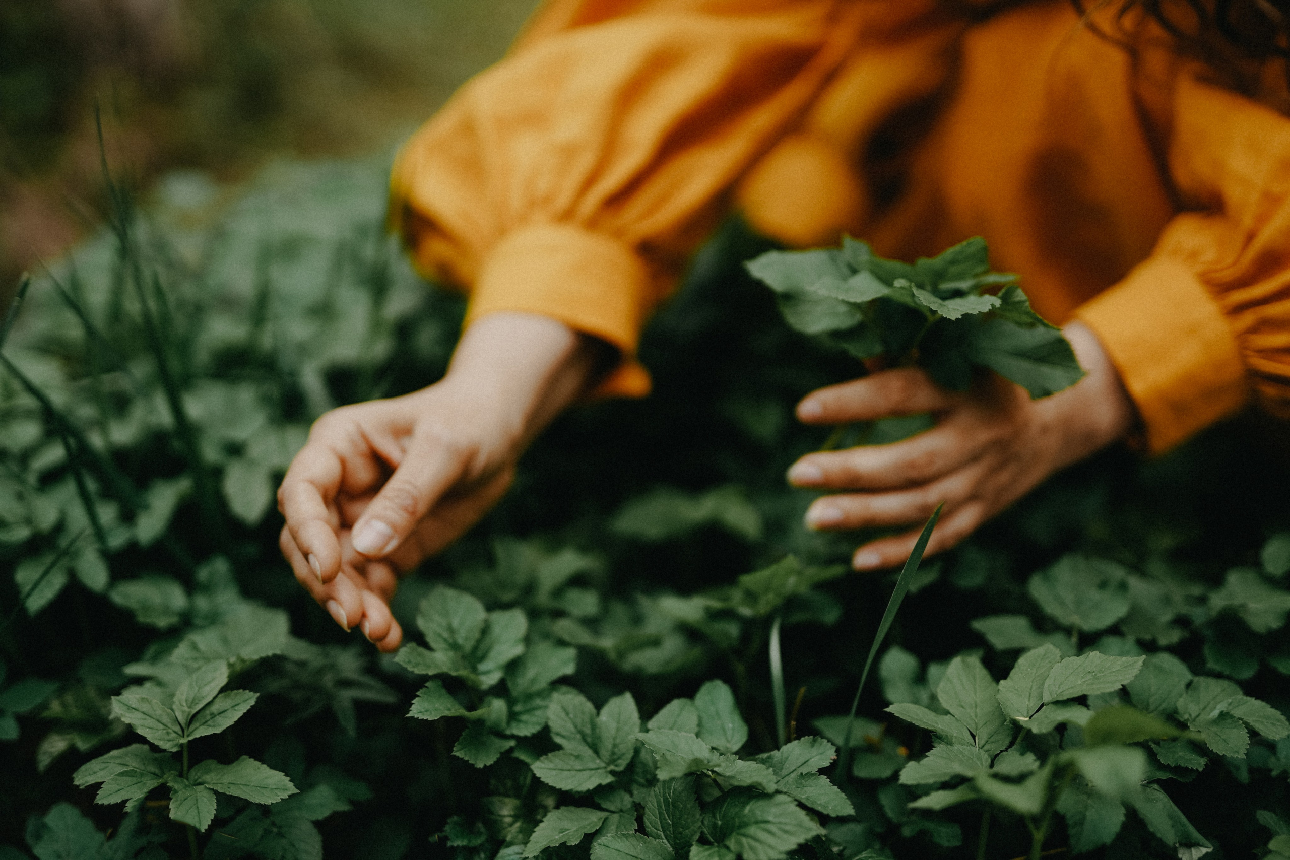 Евгений и Евгения. В единении с природой. Фотограф Наталья Колганова