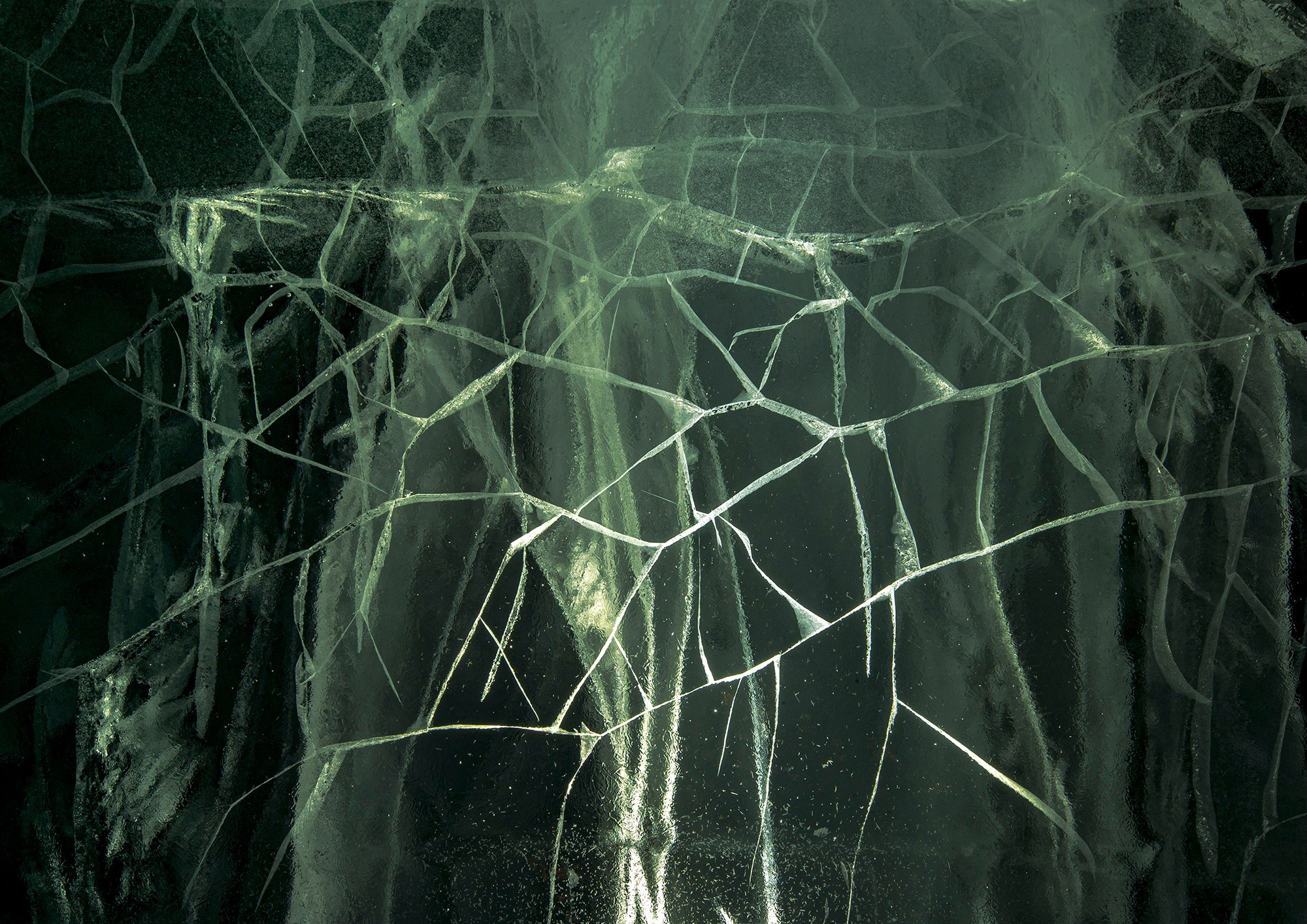 «Мы здесь». Фотограф Переверзева Наталья / Ханты-Мансийск