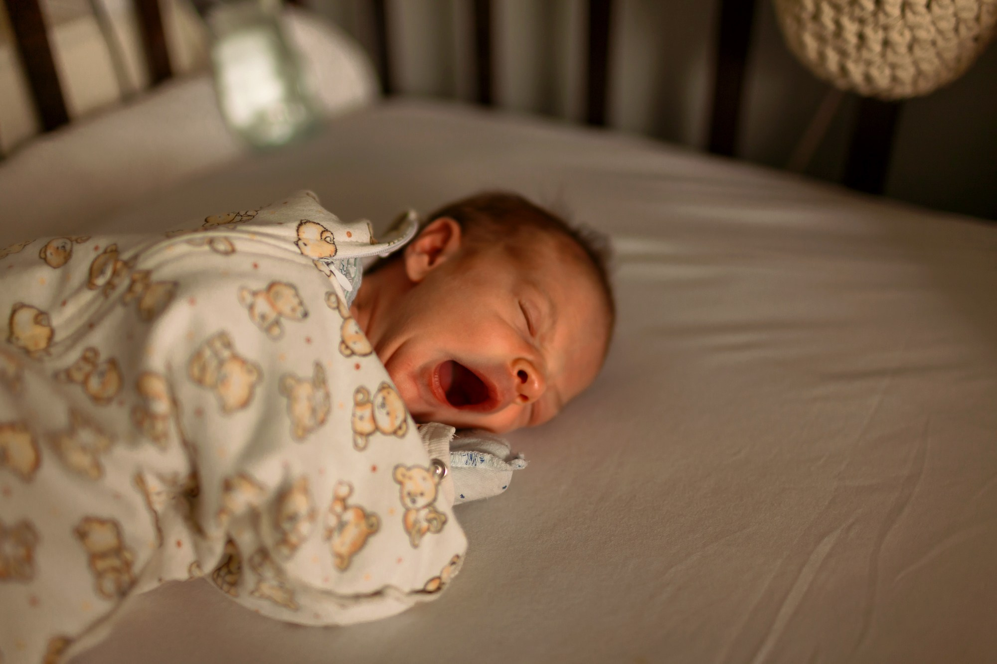 Семейная история. Главная