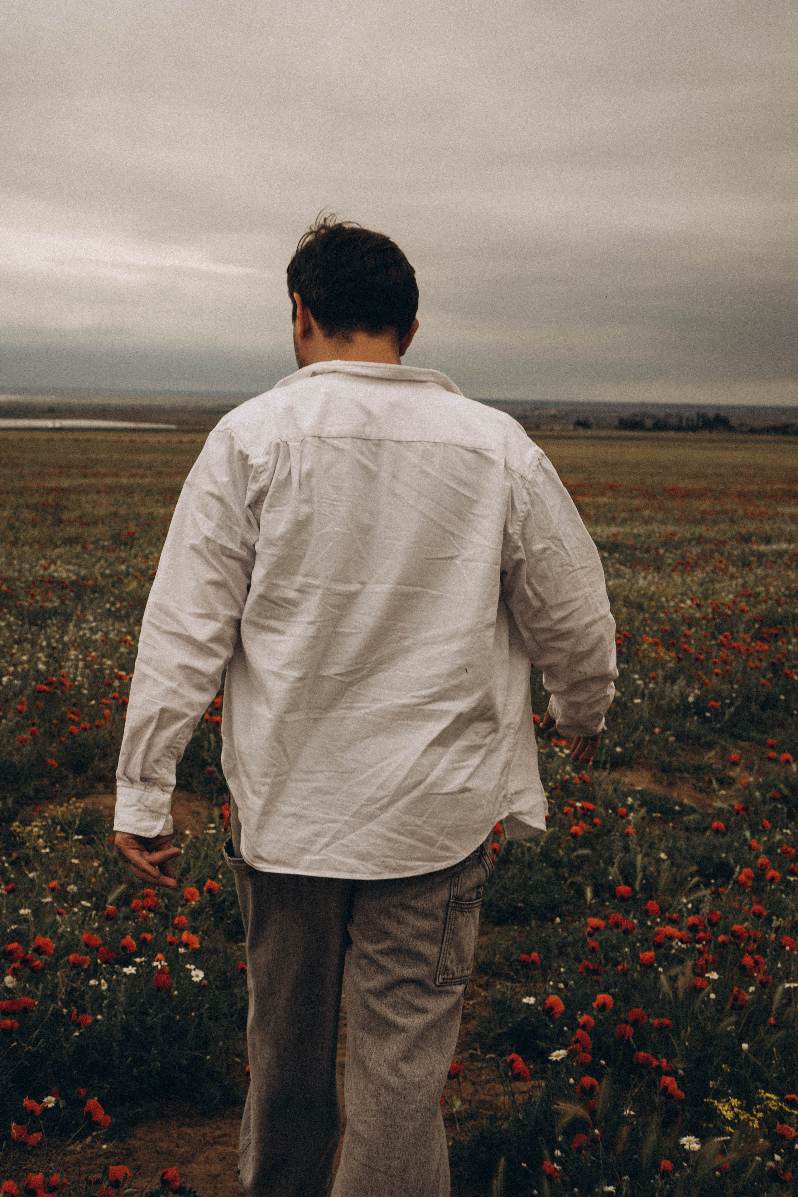 Маки. Профессиональный фотограф, Санкт-Петербург — Виктория Богомолова