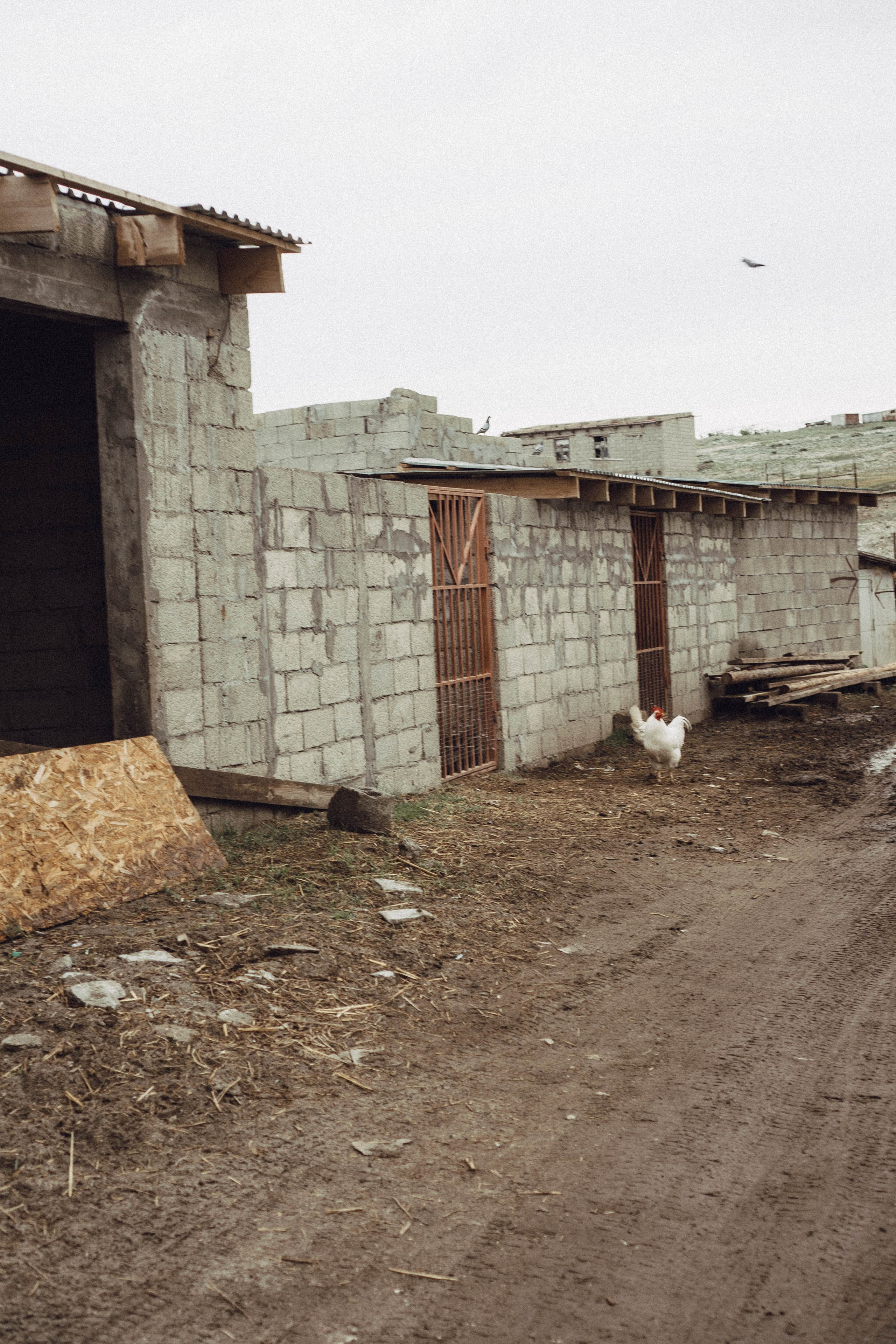 Кавказ. Профессиональный фотограф, Санкт-Петербург — Виктория Богомолова