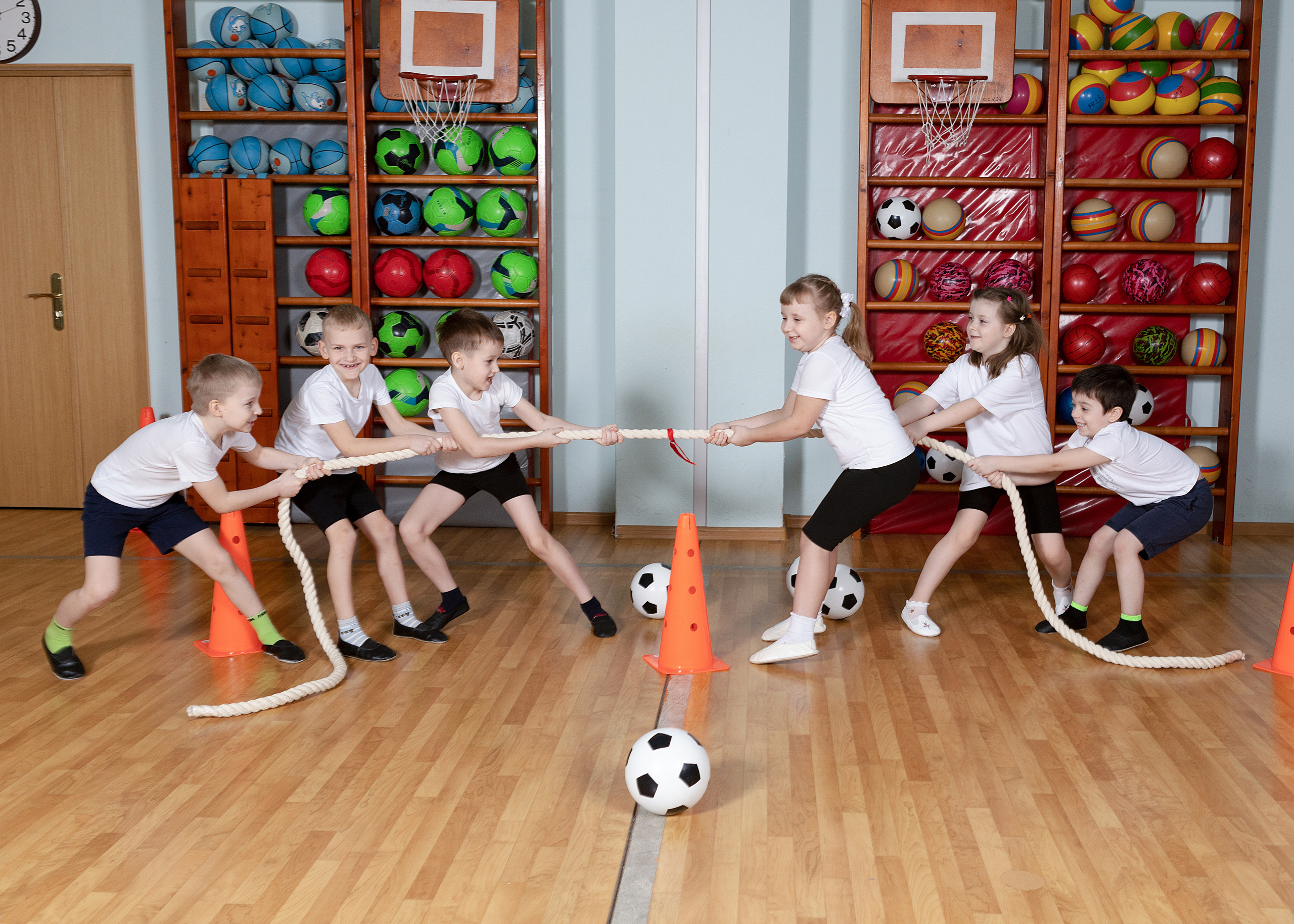 Детский сад. Выпускные альбомы для школ и детских садов