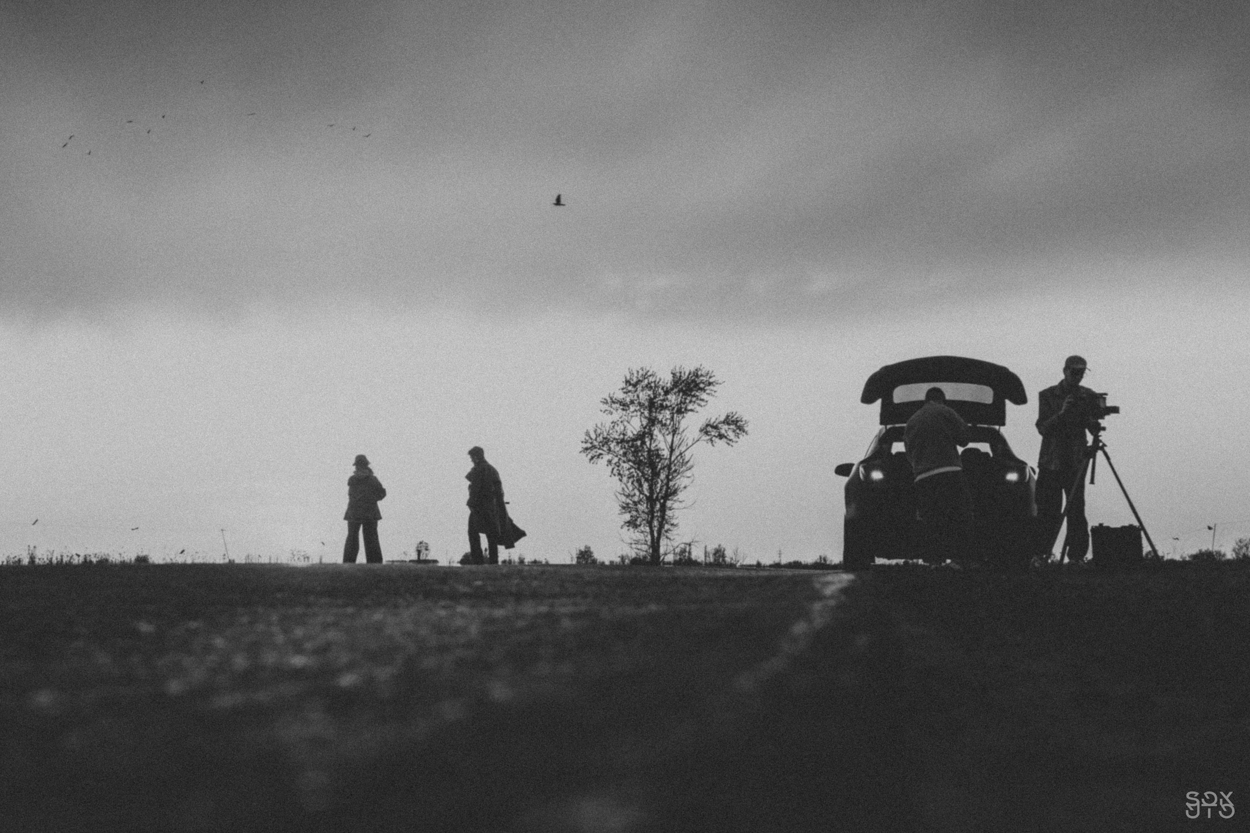 BAKED ROLL x Grad! ent