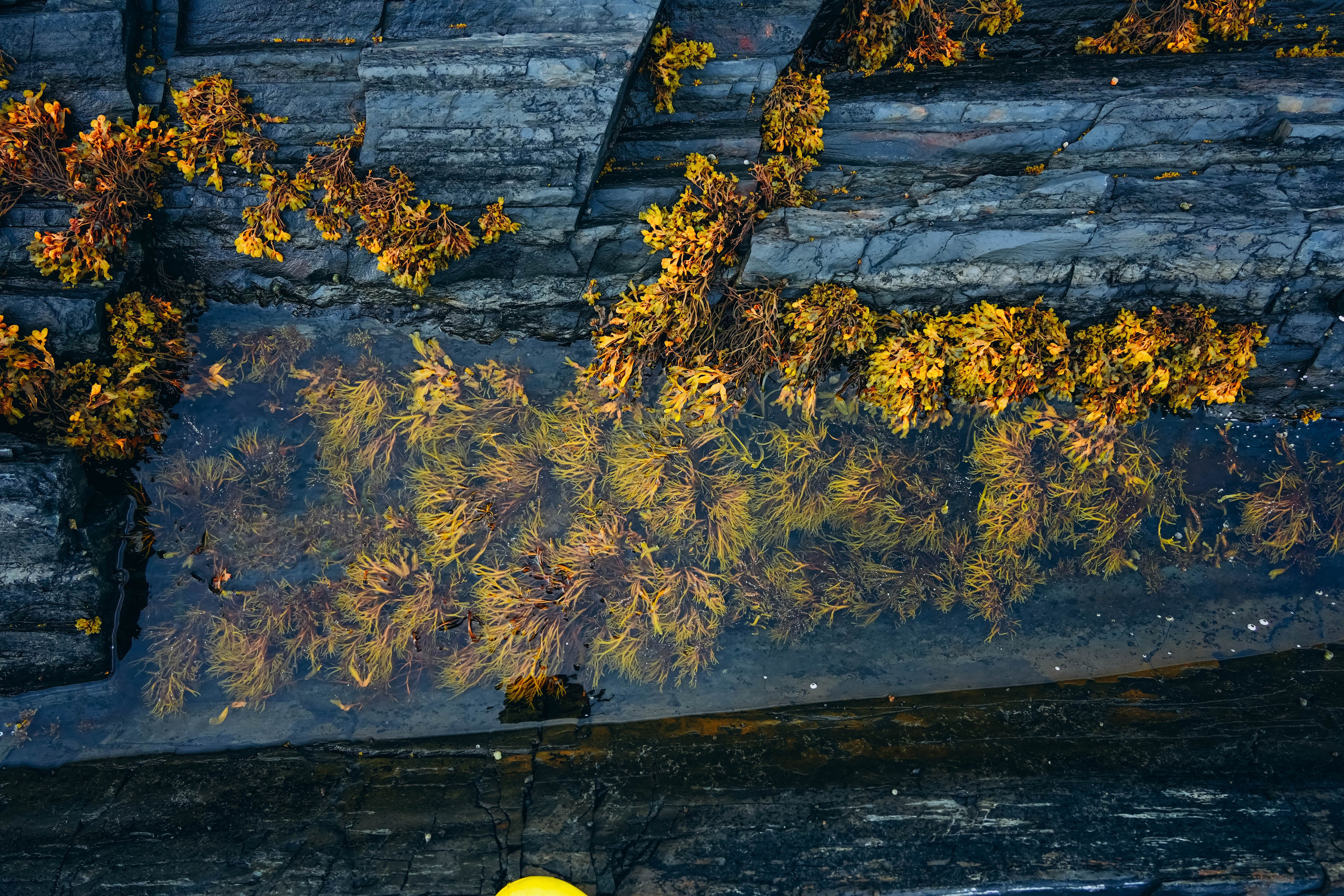 СЕВЕР. Event фотограф Степанова Александра