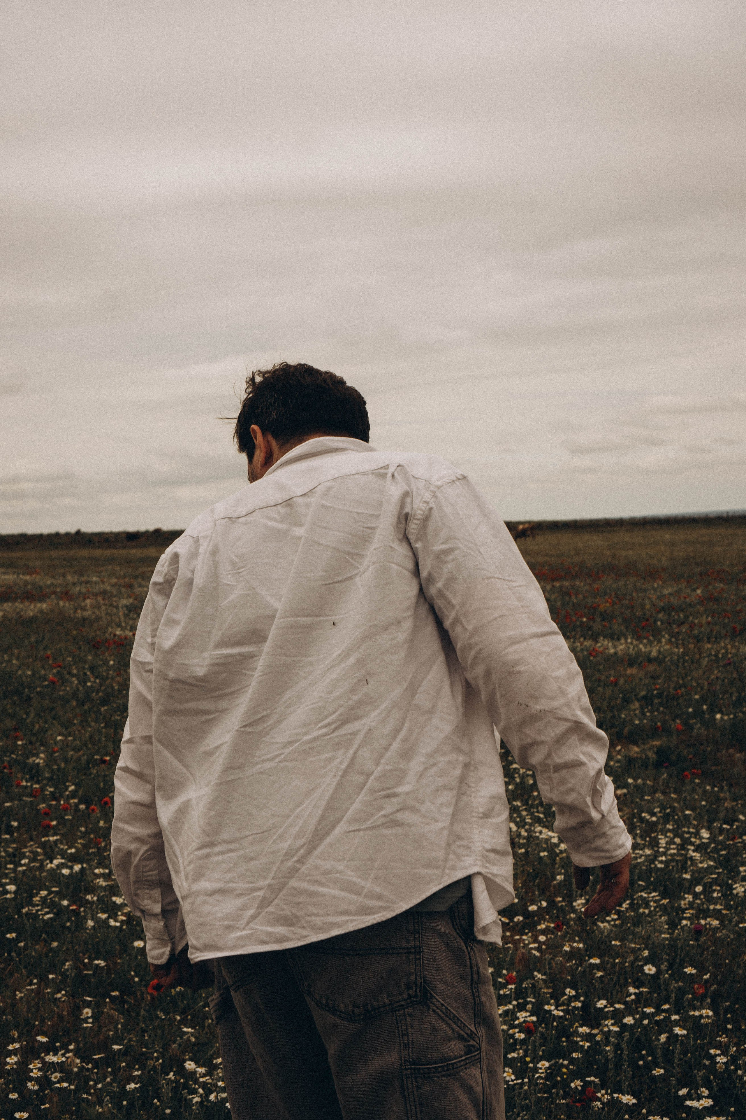 Маки. Профессиональный фотограф, Санкт-Петербург — Виктория Богомолова