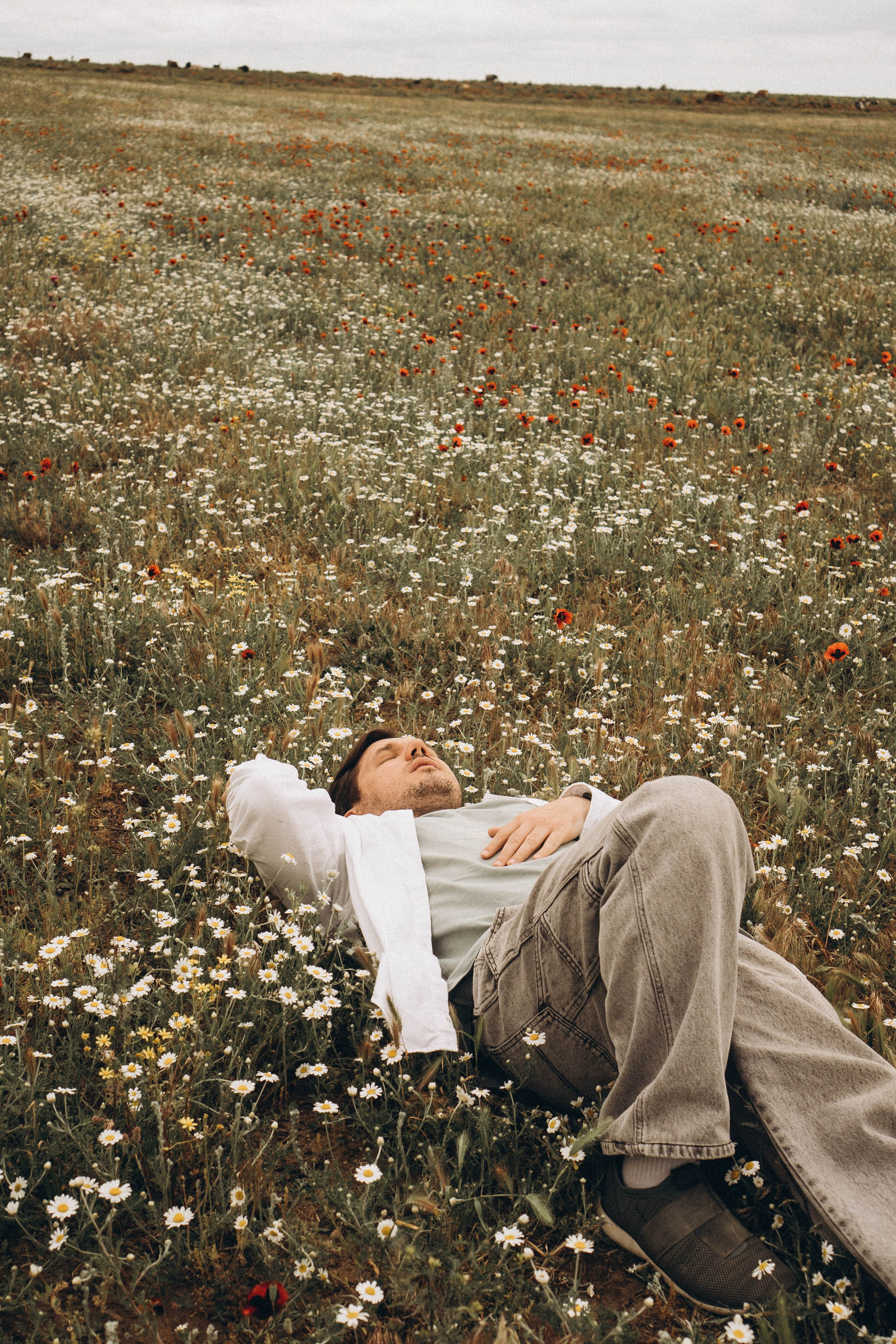 Маки. Профессиональный фотограф, Санкт-Петербург — Виктория Богомолова