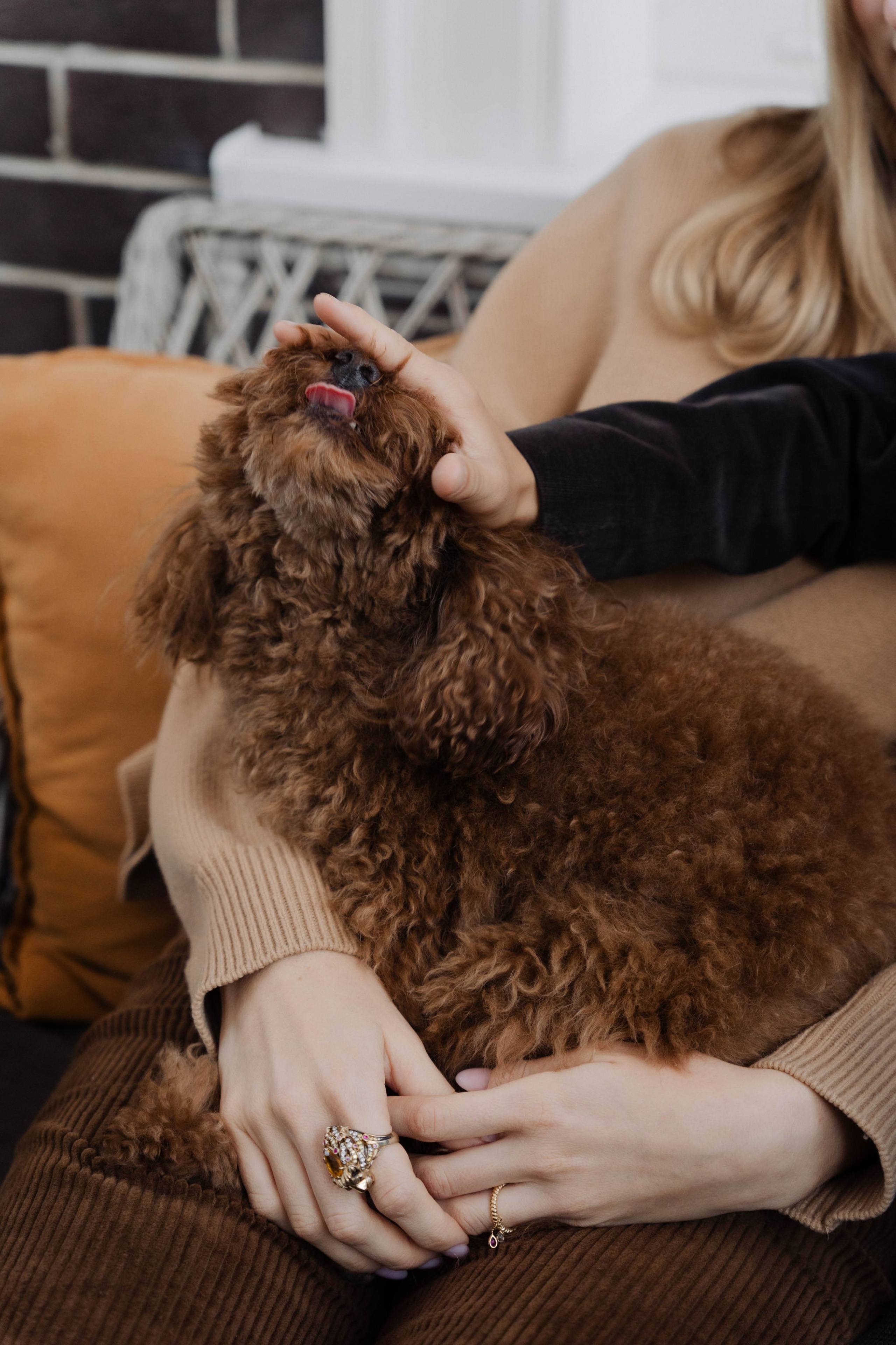 Семейные истории. ФОТОГРАФ КСЕНИЯ СОСНОВСКАЯ