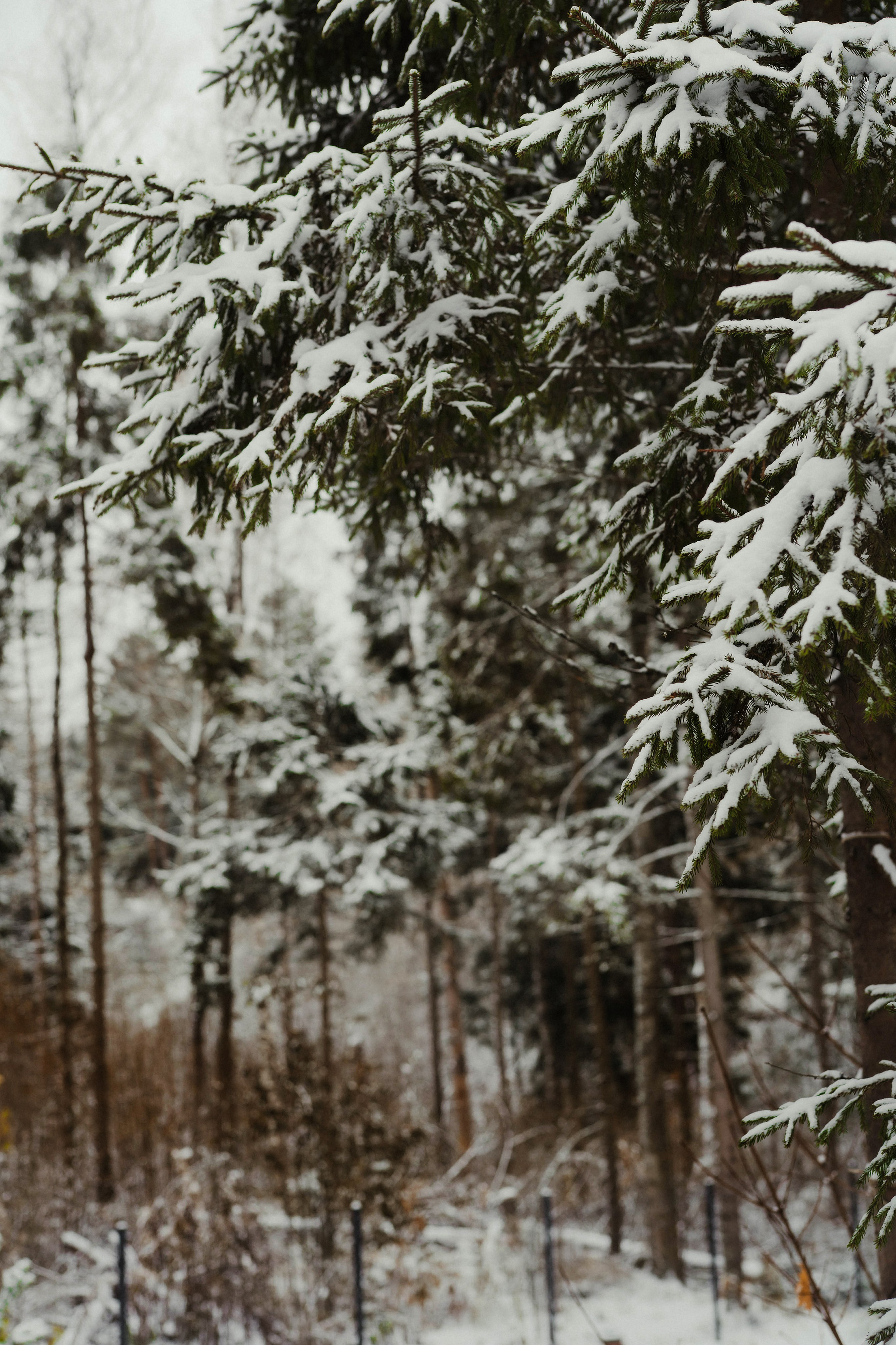 Семейные истории. ФОТОГРАФ КСЕНИЯ СОСНОВСКАЯ