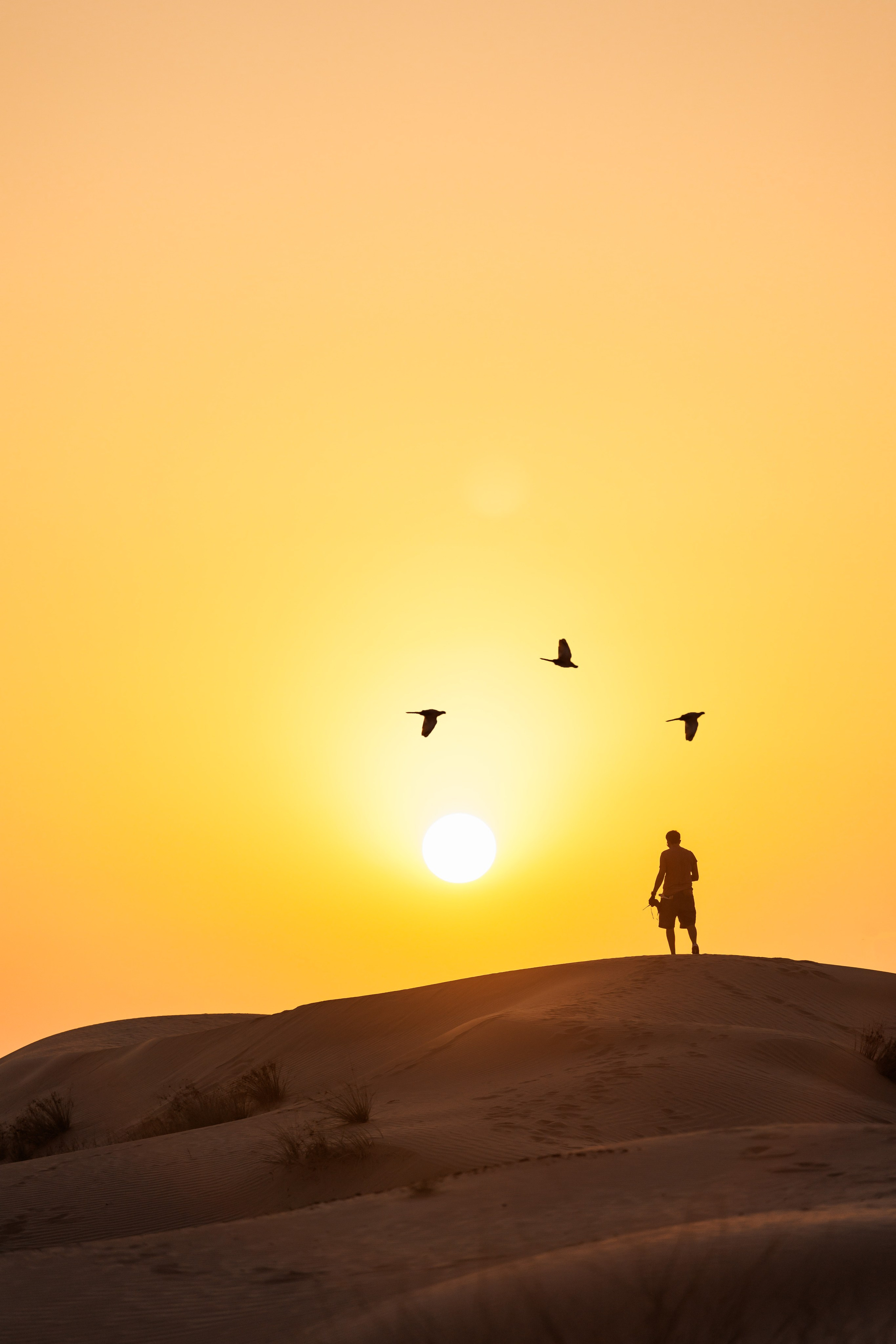 Dezert. Photographer in Saint-Petersburg and Moscow Max Spector