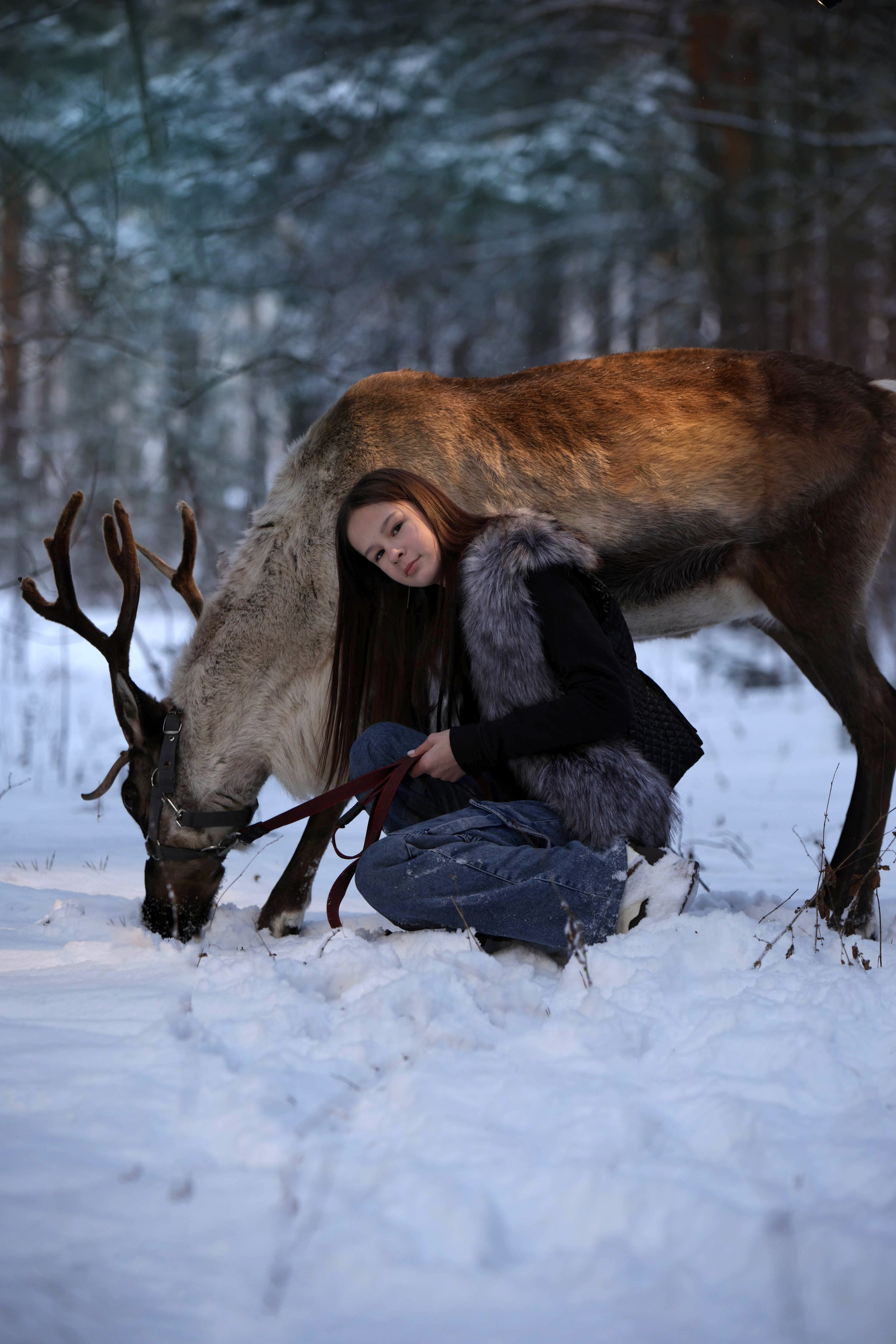 Олениха Нося 2024. Конный фотограф в Красноярске — Любовь Похабова
