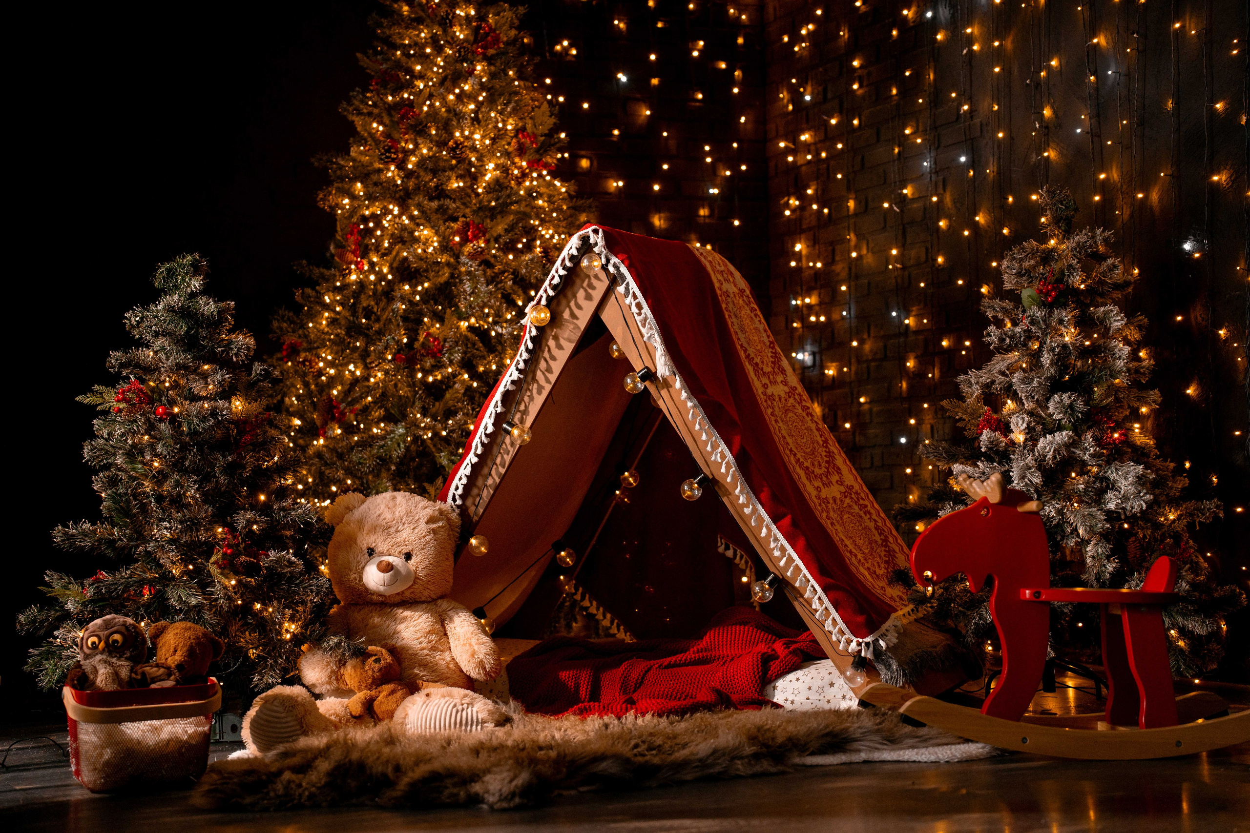 Фотостудия AlexCam | Фотостудии Саратова