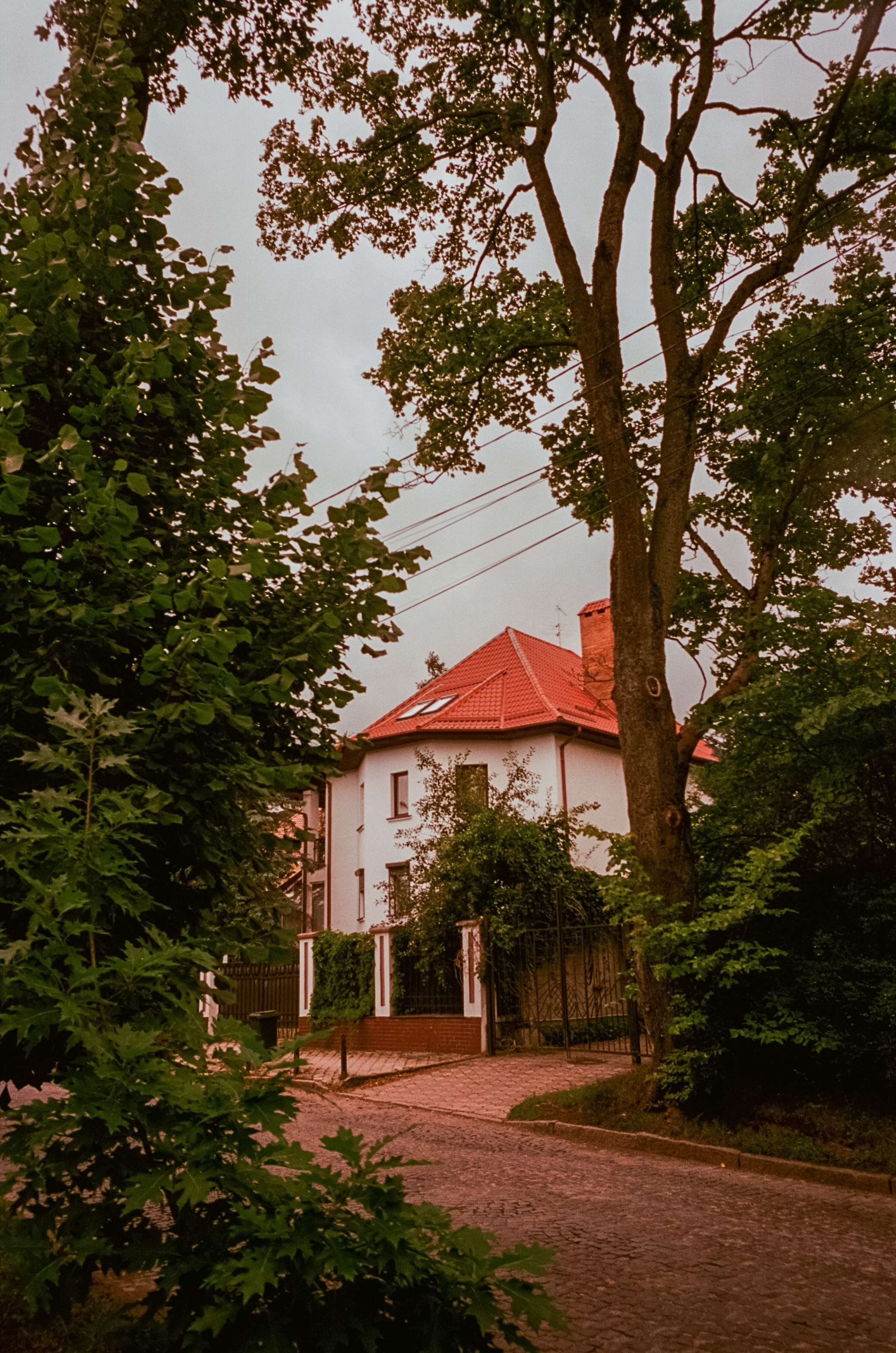 Калининград. Верхнее озеро, Safe Coffee и кафе Толстой. Фотограф-документалист Мария Осокина